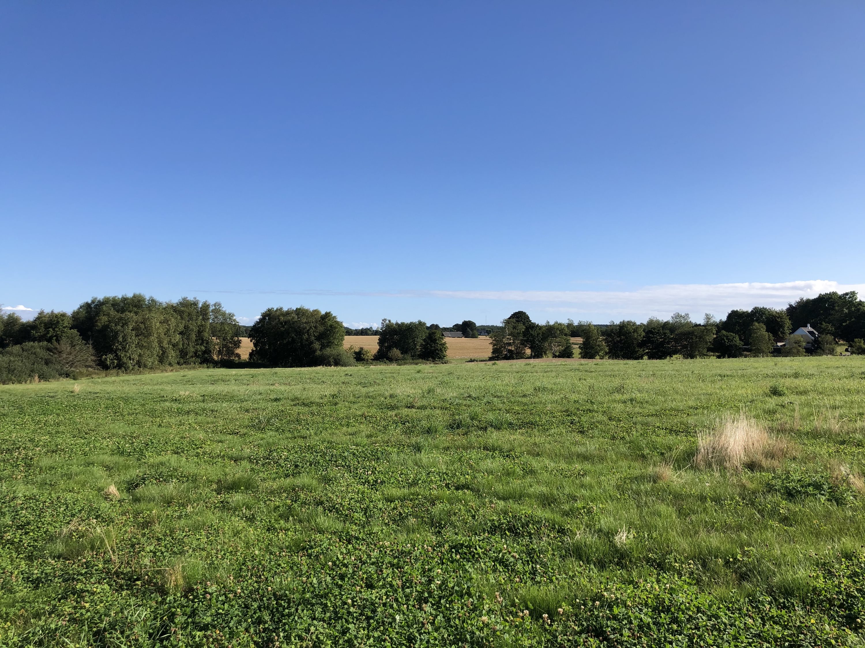 Fremhævet andet billede i fuldskærmstilstand. Billede af Gl Hammelvej 10, Voldby, 8450 Hammel