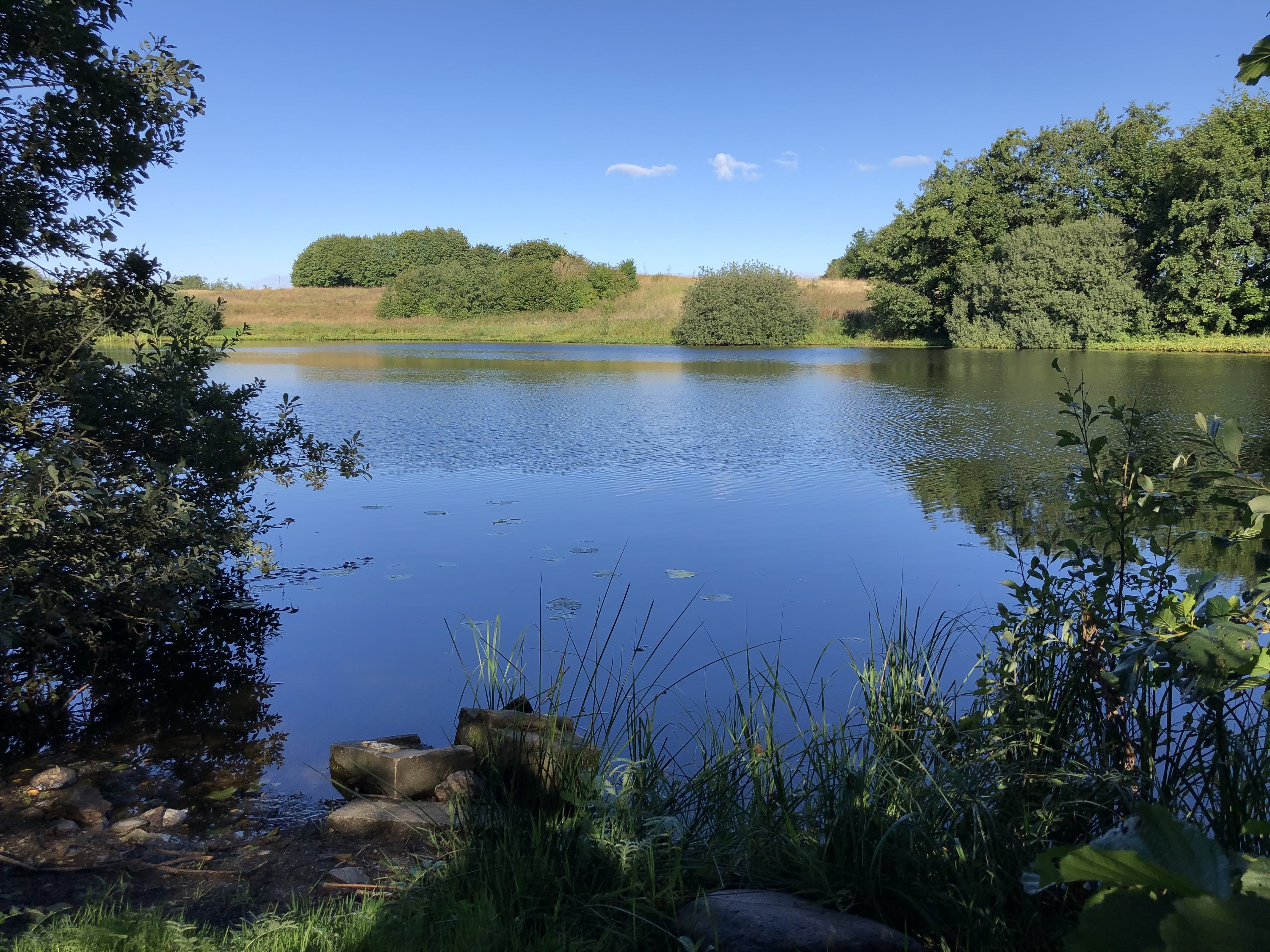 Fremhævet andet billede i fuldskærmstilstand. Billede af Gl Hammelvej 10, Voldby, 8450 Hammel