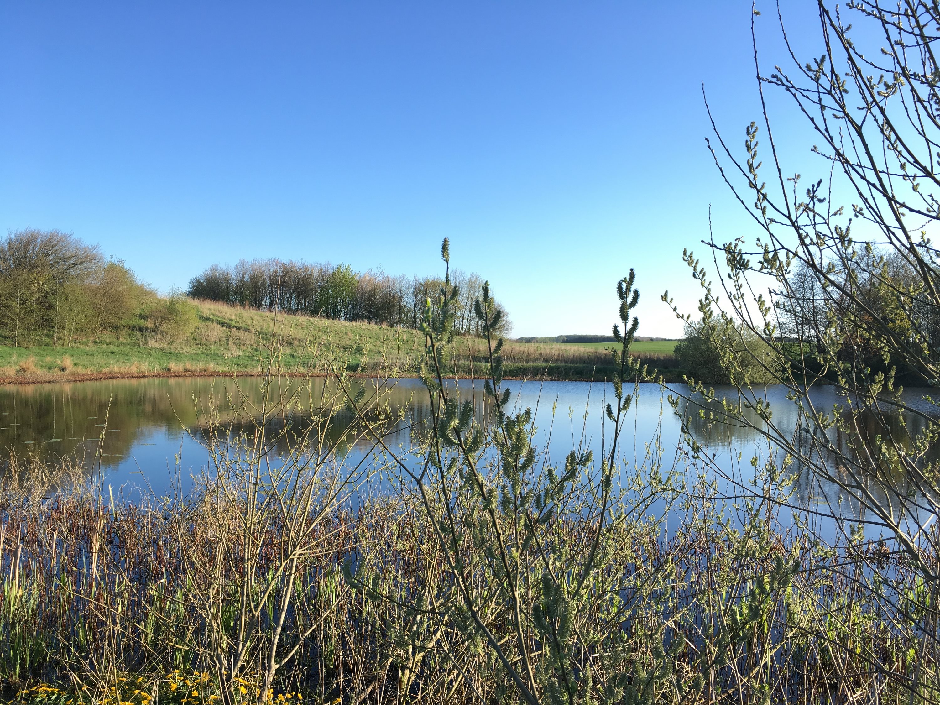 Fremhævet andet billede i fuldskærmstilstand. Billede af Gl Hammelvej 10, Voldby, 8450 Hammel