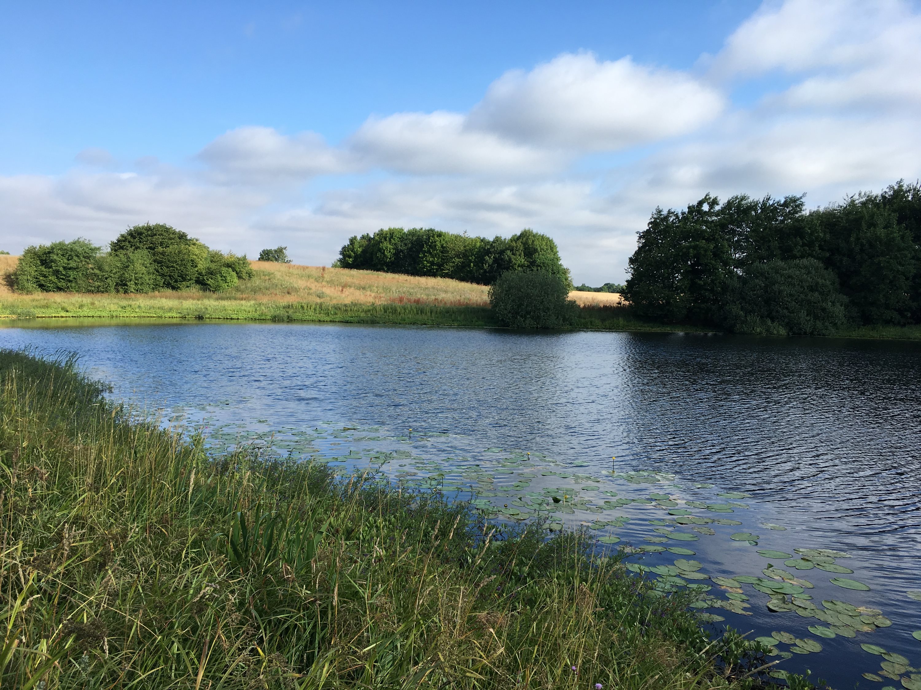 Fremhævet andet billede i fuldskærmstilstand. Billede af Gl Hammelvej 10, Voldby, 8450 Hammel