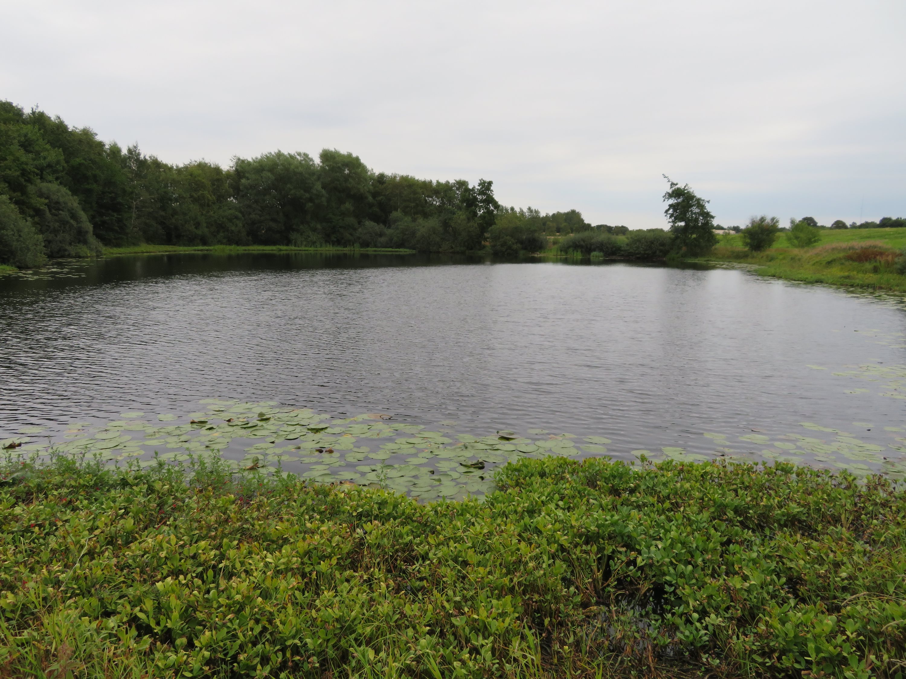 Fremhævet andet billede i fuldskærmstilstand. Billede af Gl Hammelvej 10, Voldby, 8450 Hammel