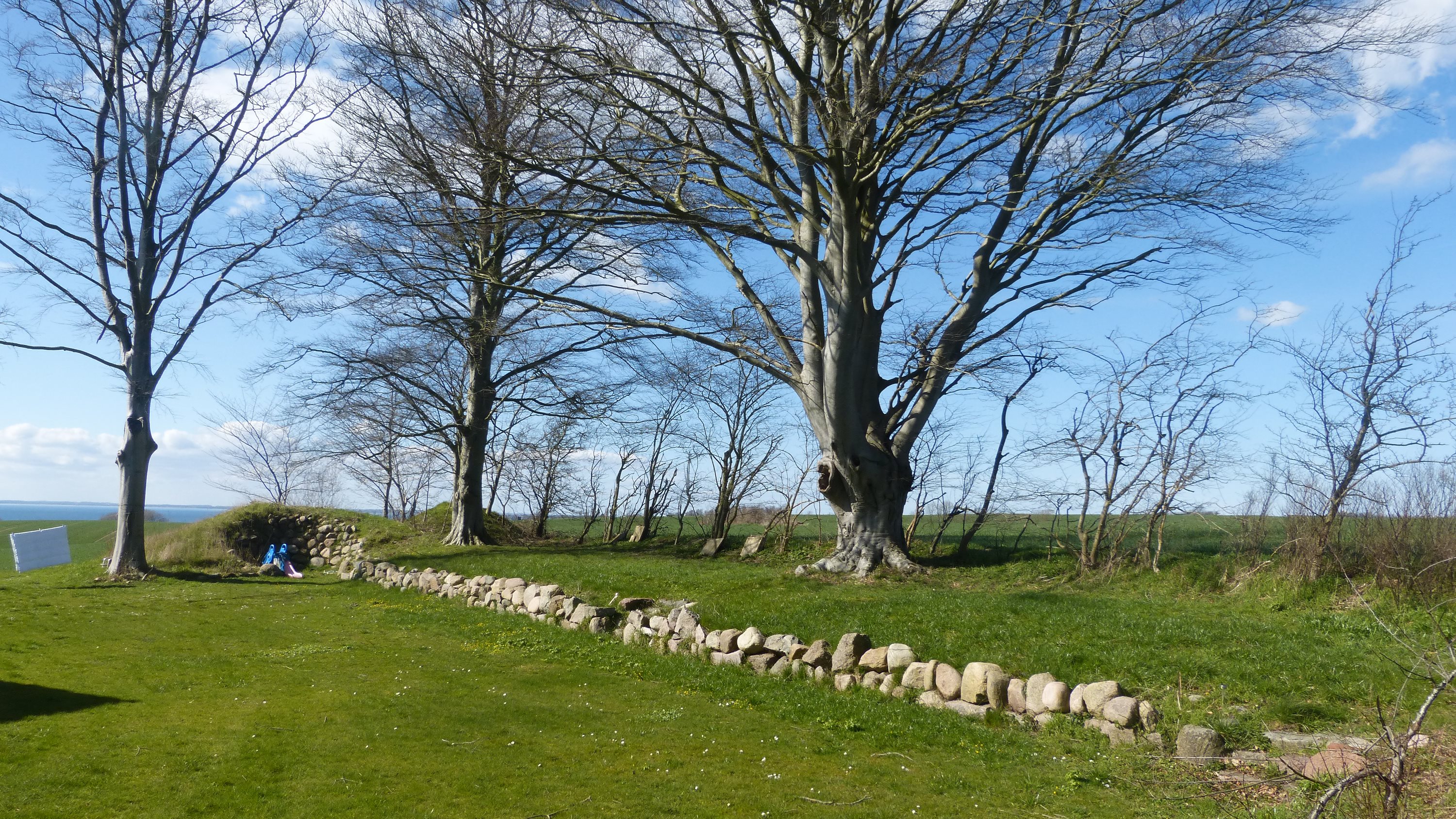 Fremhævet haven med stengærde billede i fuldskærmstilstand. Billede af Bjergegyden 12, Sønderby Bj, 5631 Ebberup
