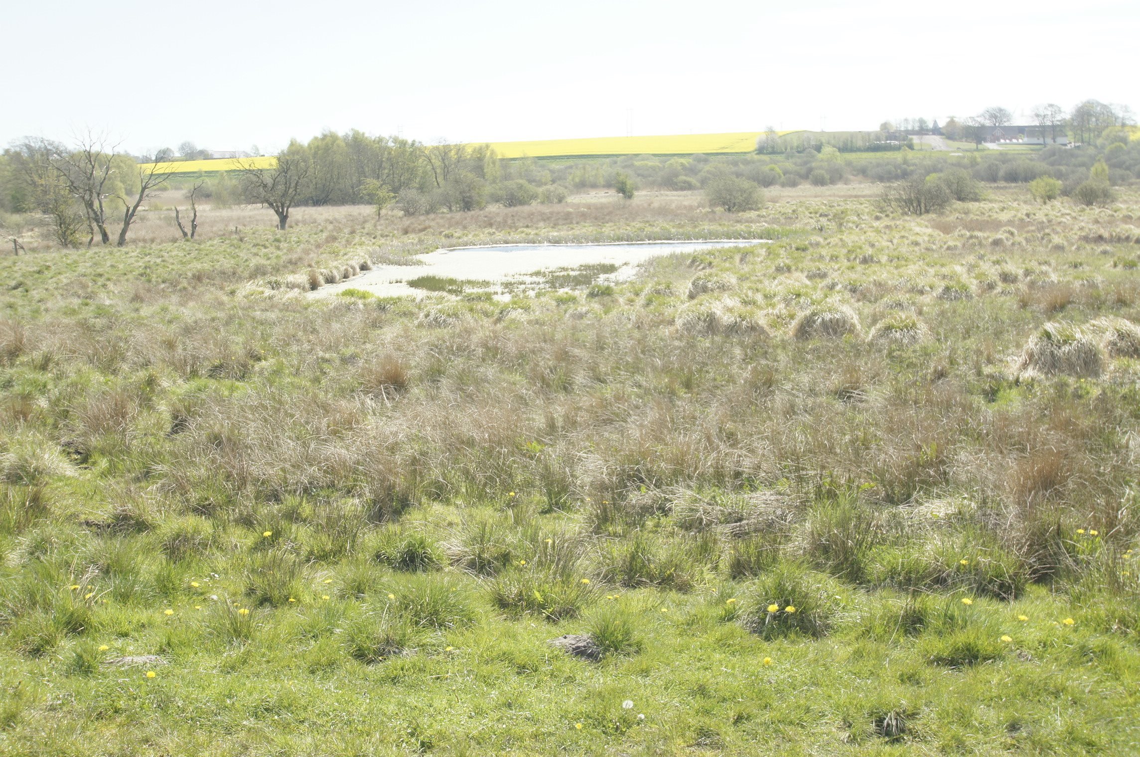 Fremhævet andet billede i fuldskærmstilstand. Billede af Hemvej 36, Hem, 9550 Mariager