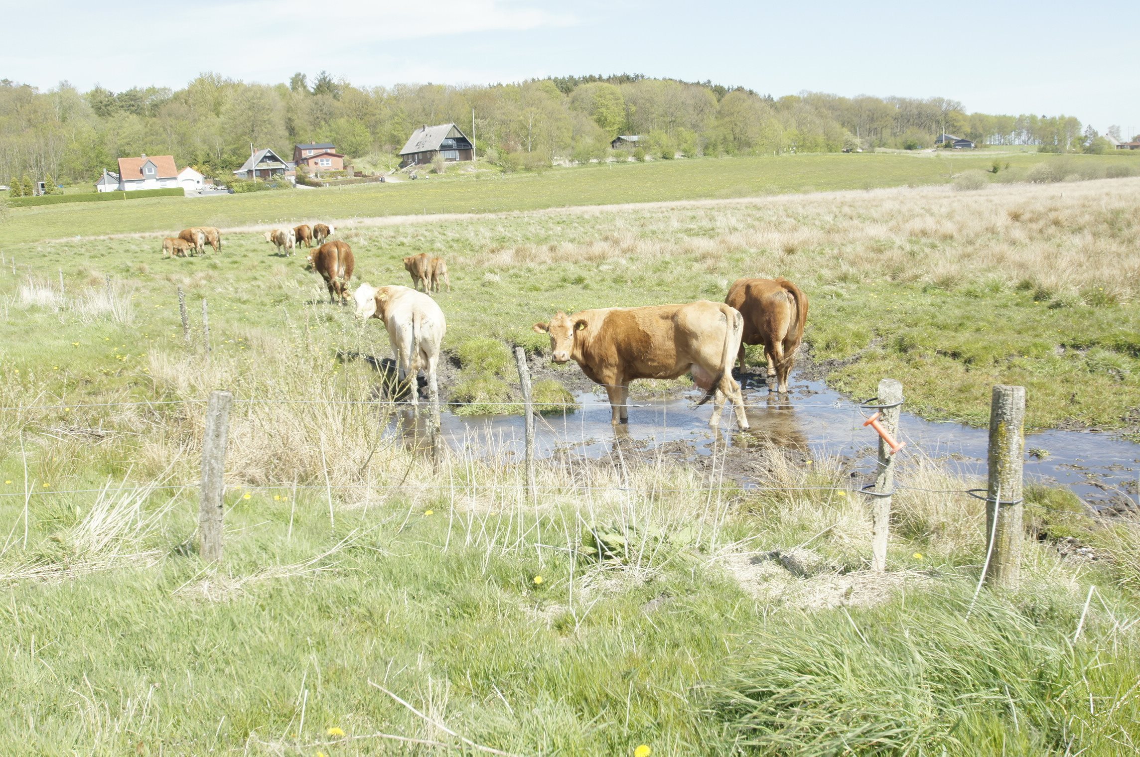 Fremhævet andet billede i fuldskærmstilstand. Billede af Hemvej 36, Hem, 9550 Mariager