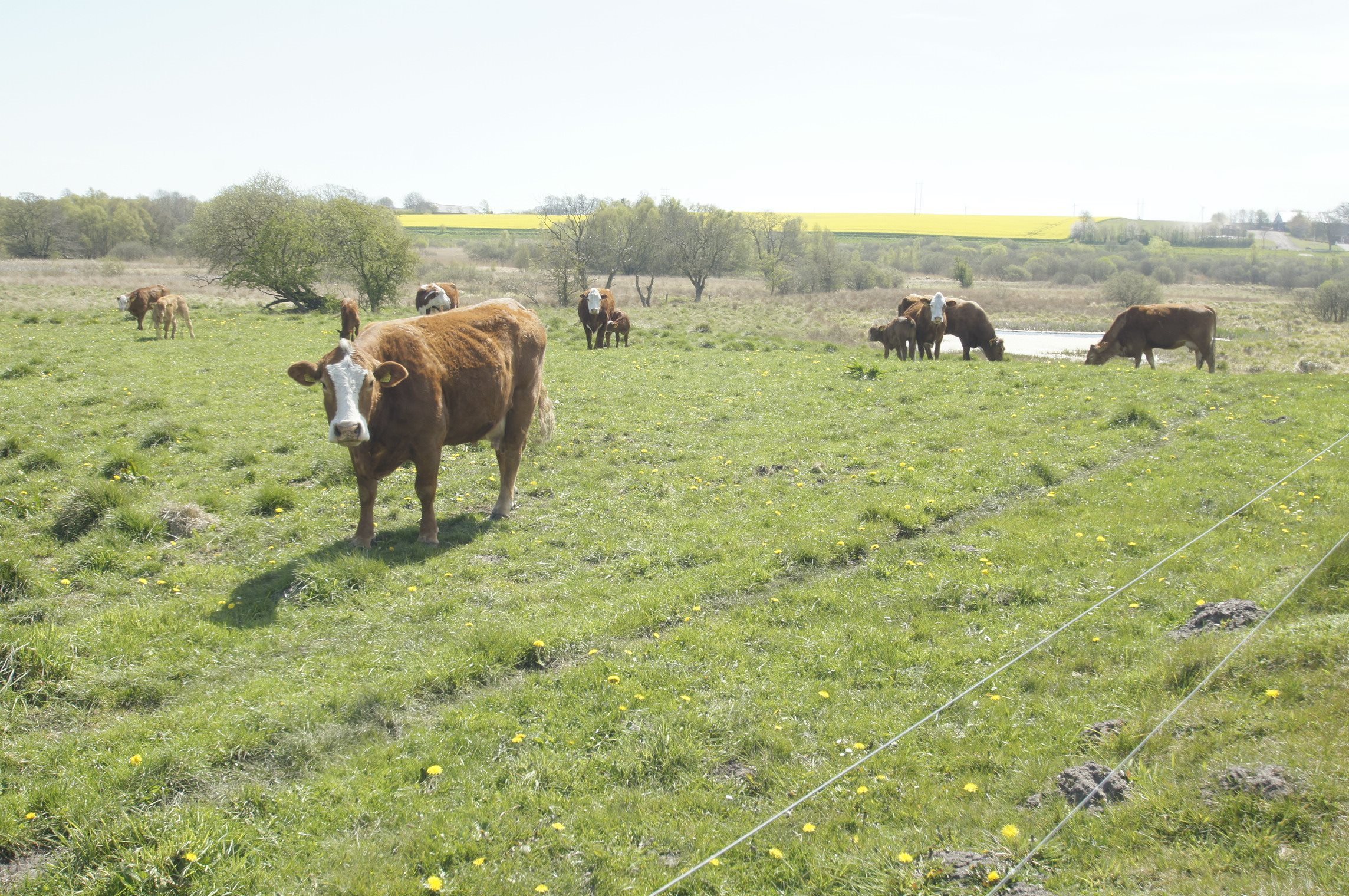 Fremhævet andet billede i fuldskærmstilstand. Billede af Hemvej 36, Hem, 9550 Mariager