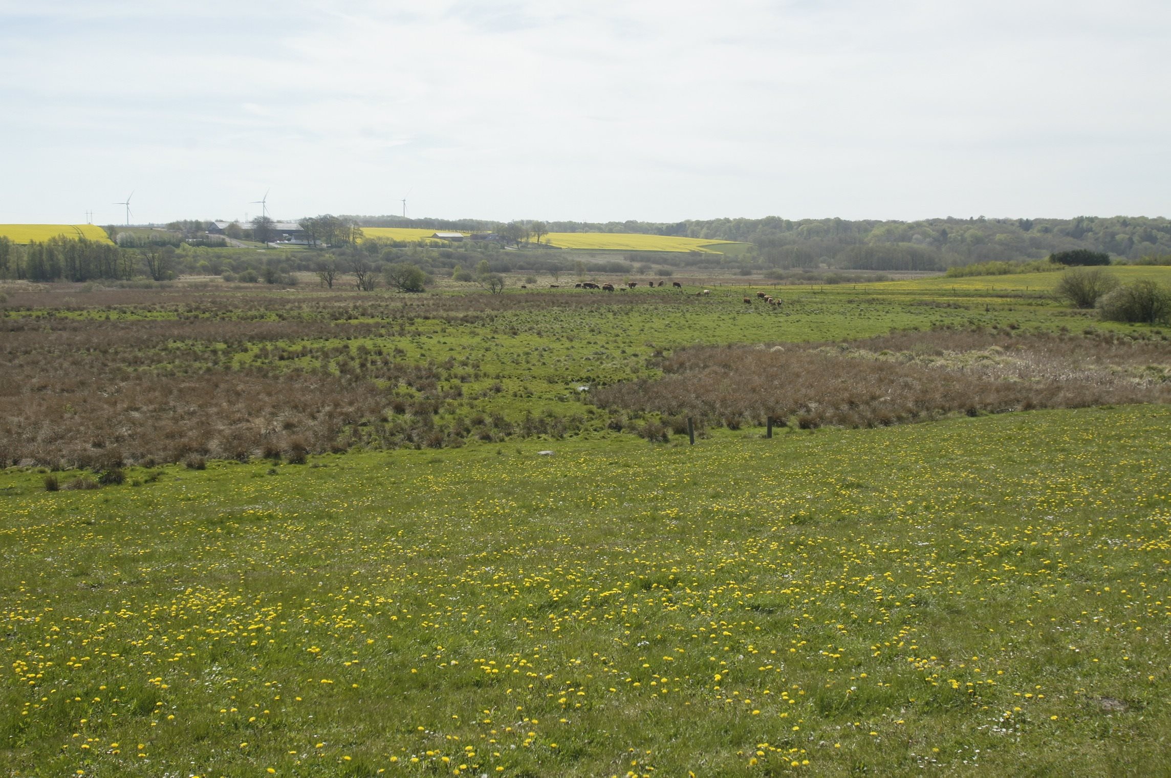 Fremhævet andet billede i fuldskærmstilstand. Billede af Hemvej 36, Hem, 9550 Mariager