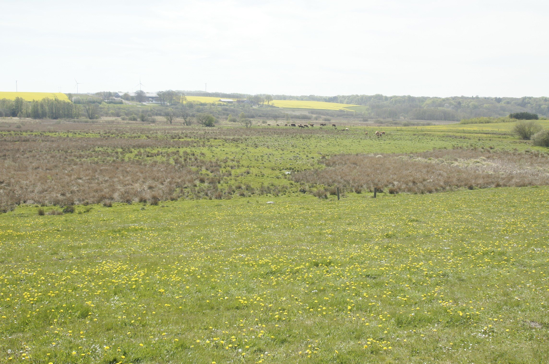 Fremhævet andet billede i fuldskærmstilstand. Billede af Hemvej 36, Hem, 9550 Mariager