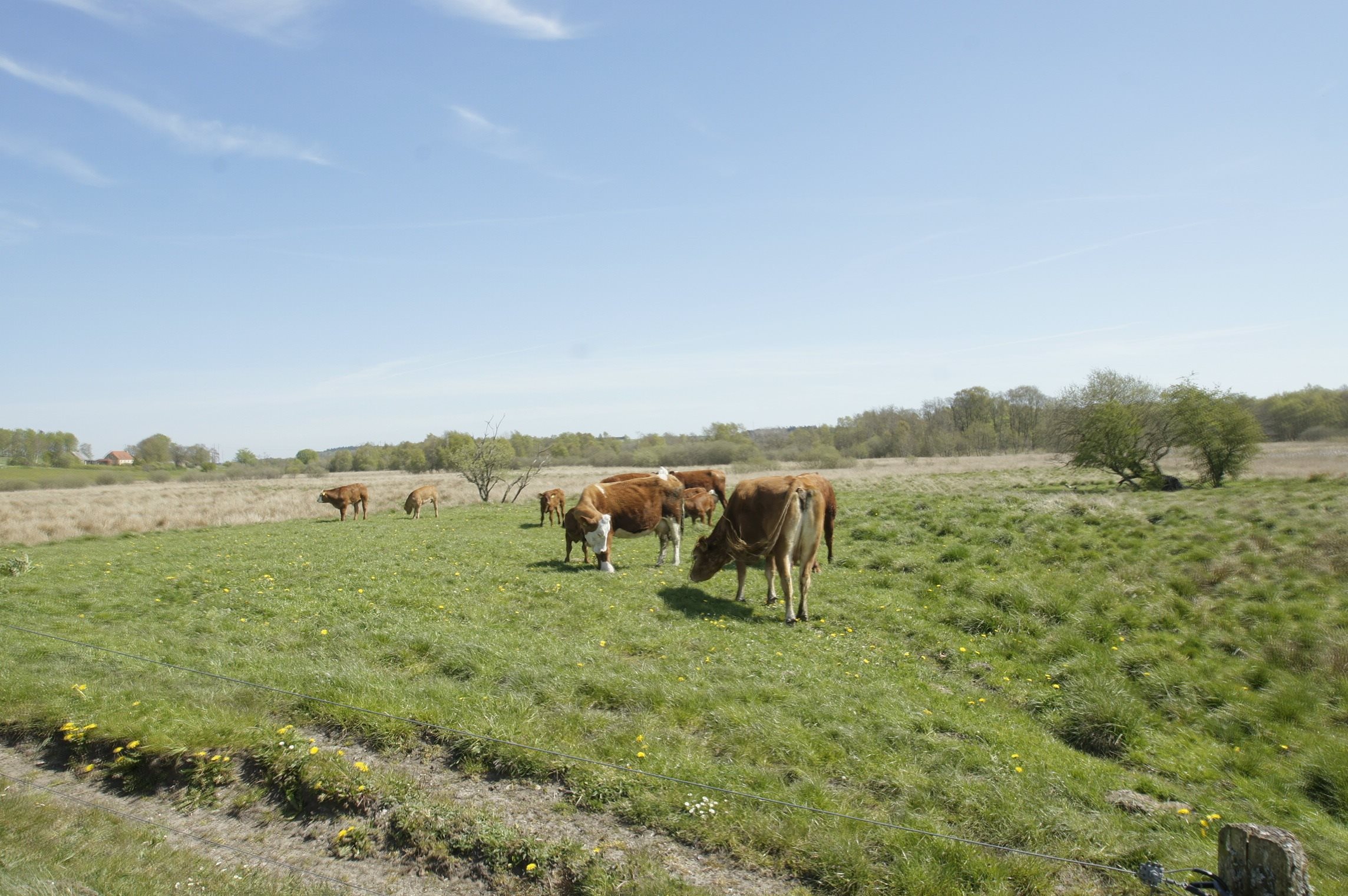 Fremhævet andet billede i fuldskærmstilstand. Billede af Hemvej 36, Hem, 9550 Mariager