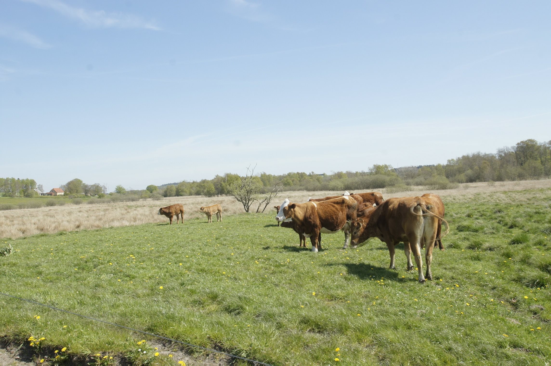 Fremhævet andet billede i fuldskærmstilstand. Billede af Hemvej 36, Hem, 9550 Mariager