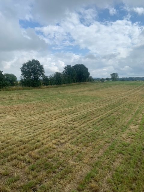 Fremhævet udsigt over markerne billede i fuldskærmstilstand. Billede af Assensvej 0, 5750 Ringe