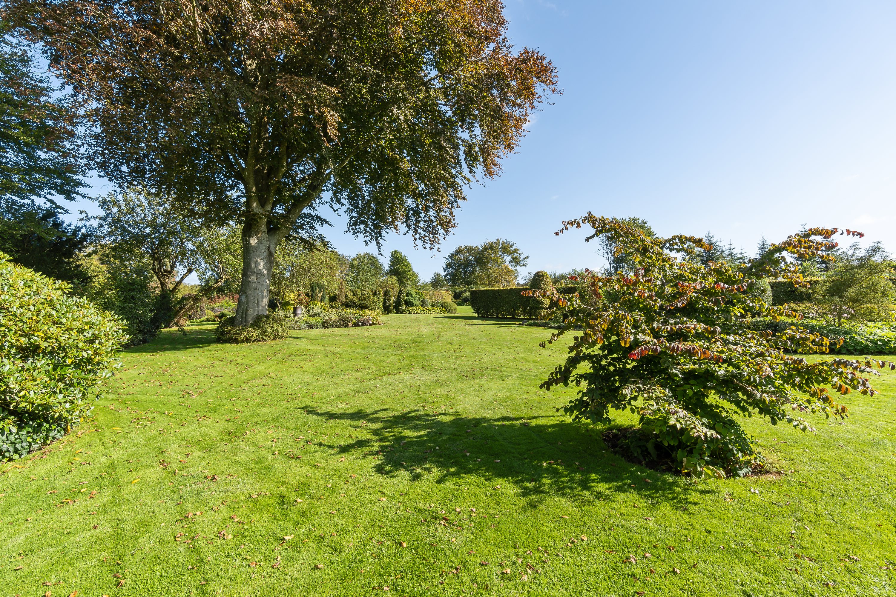 Fremhævet have billede i fuldskærmstilstand. Billede af Mojbølvej 1, Øster Lindet, 6630 Rødding