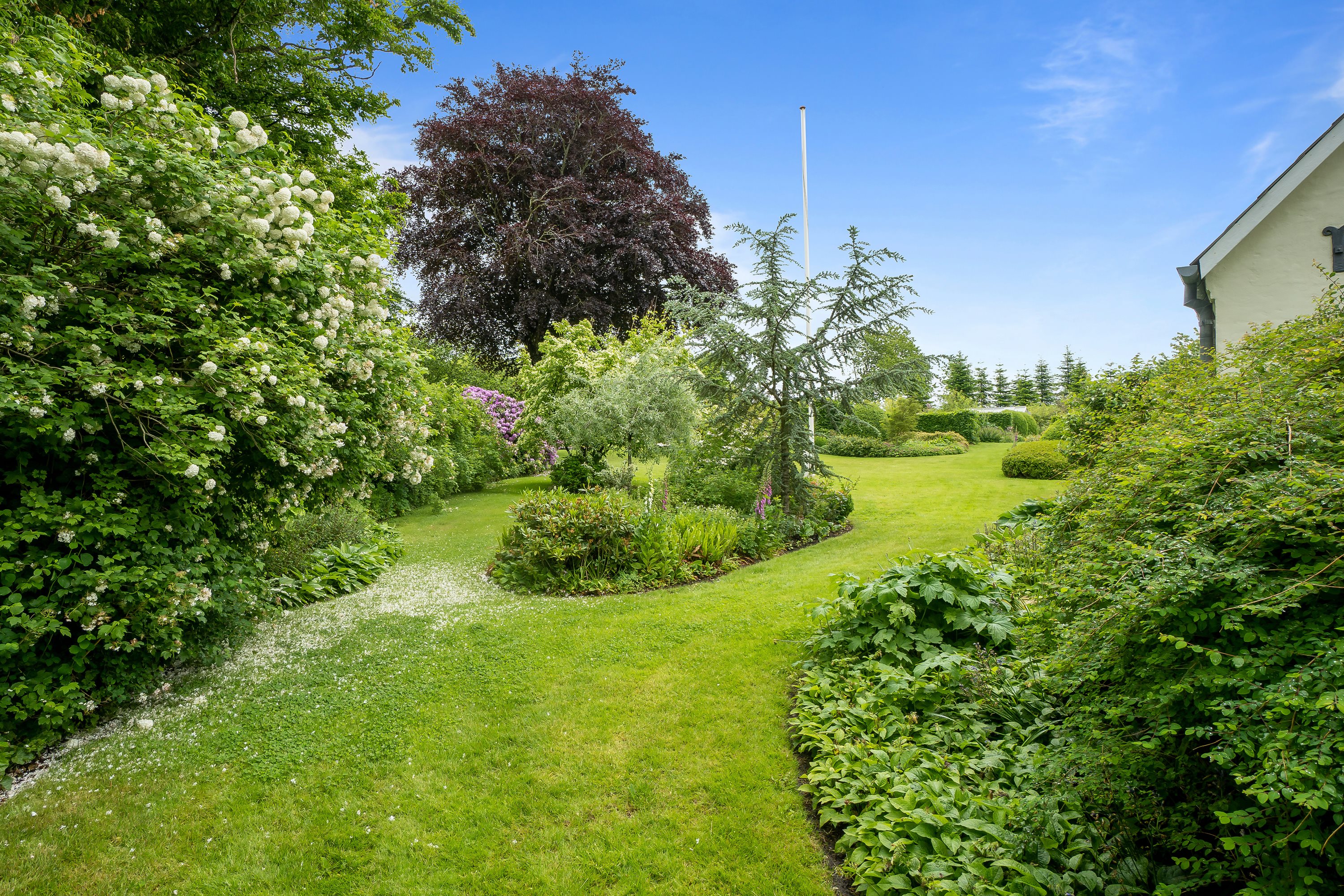 Fremhævet have billede i fuldskærmstilstand. Billede af Mojbølvej 1, Øster Lindet, 6630 Rødding
