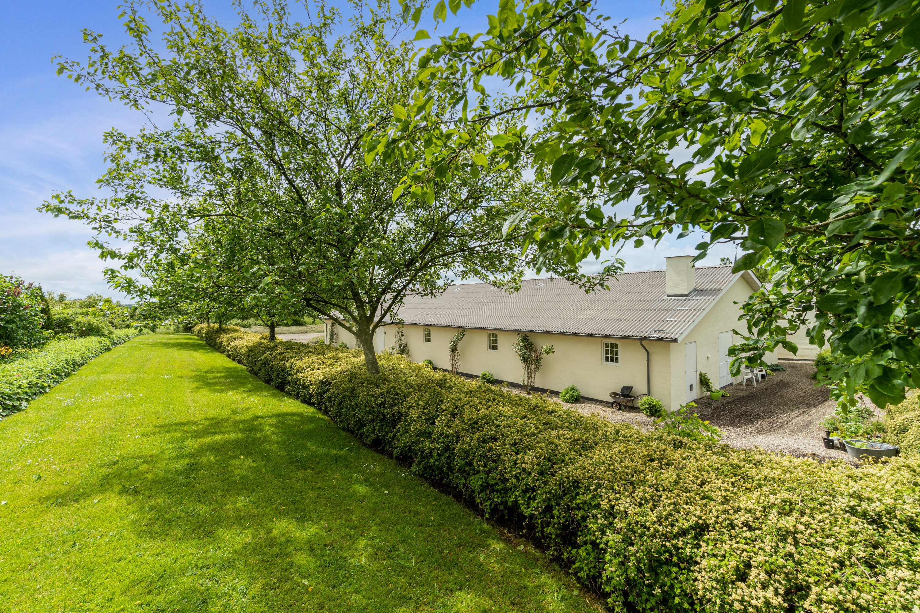 Fremhævet have billede i fuldskærmstilstand. Billede af Mojbølvej 1, Øster Lindet, 6630 Rødding