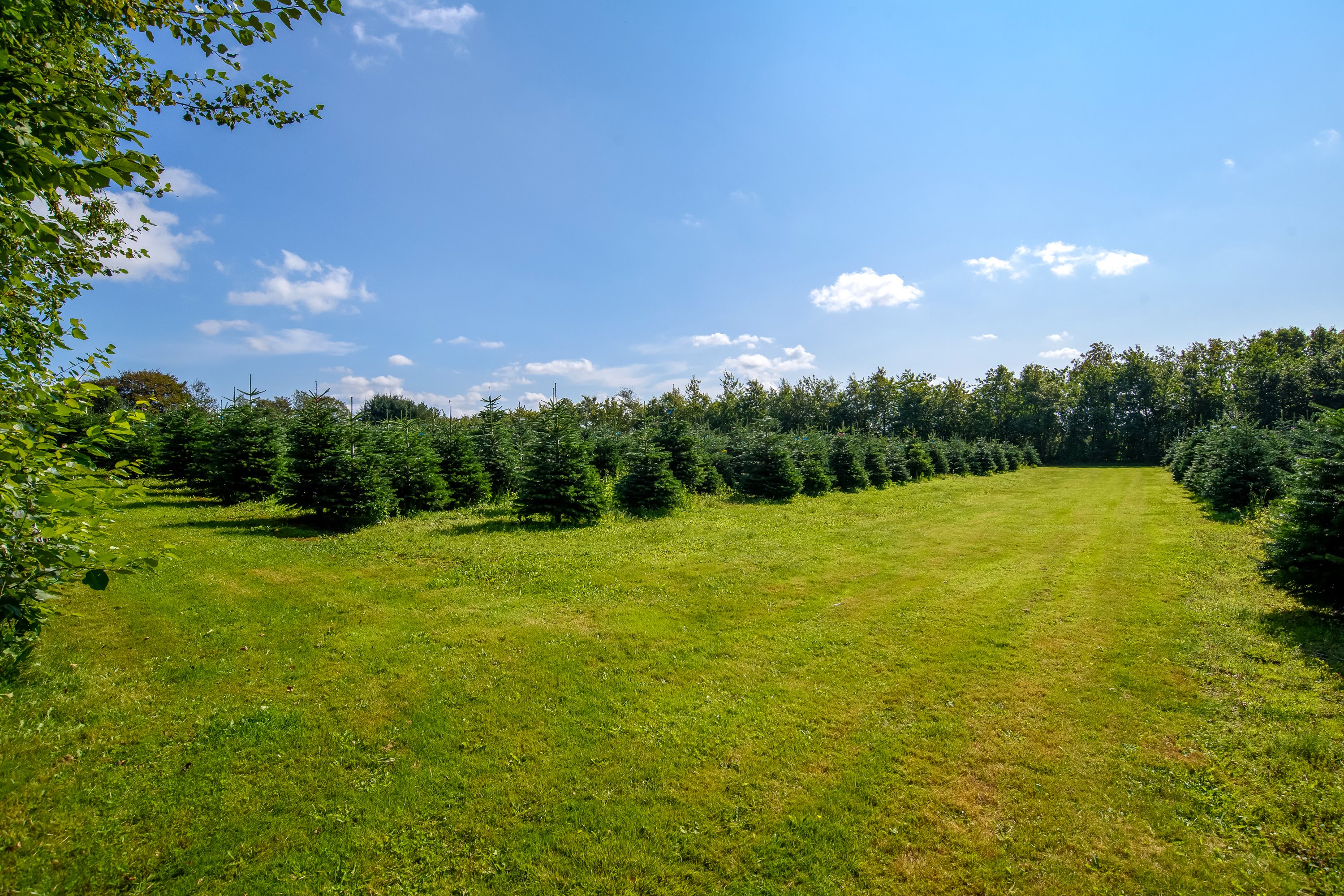 Fremhævet andet billede i fuldskærmstilstand. Billede af Kobberupvej 88, Mejrup, 7500 Holstebro