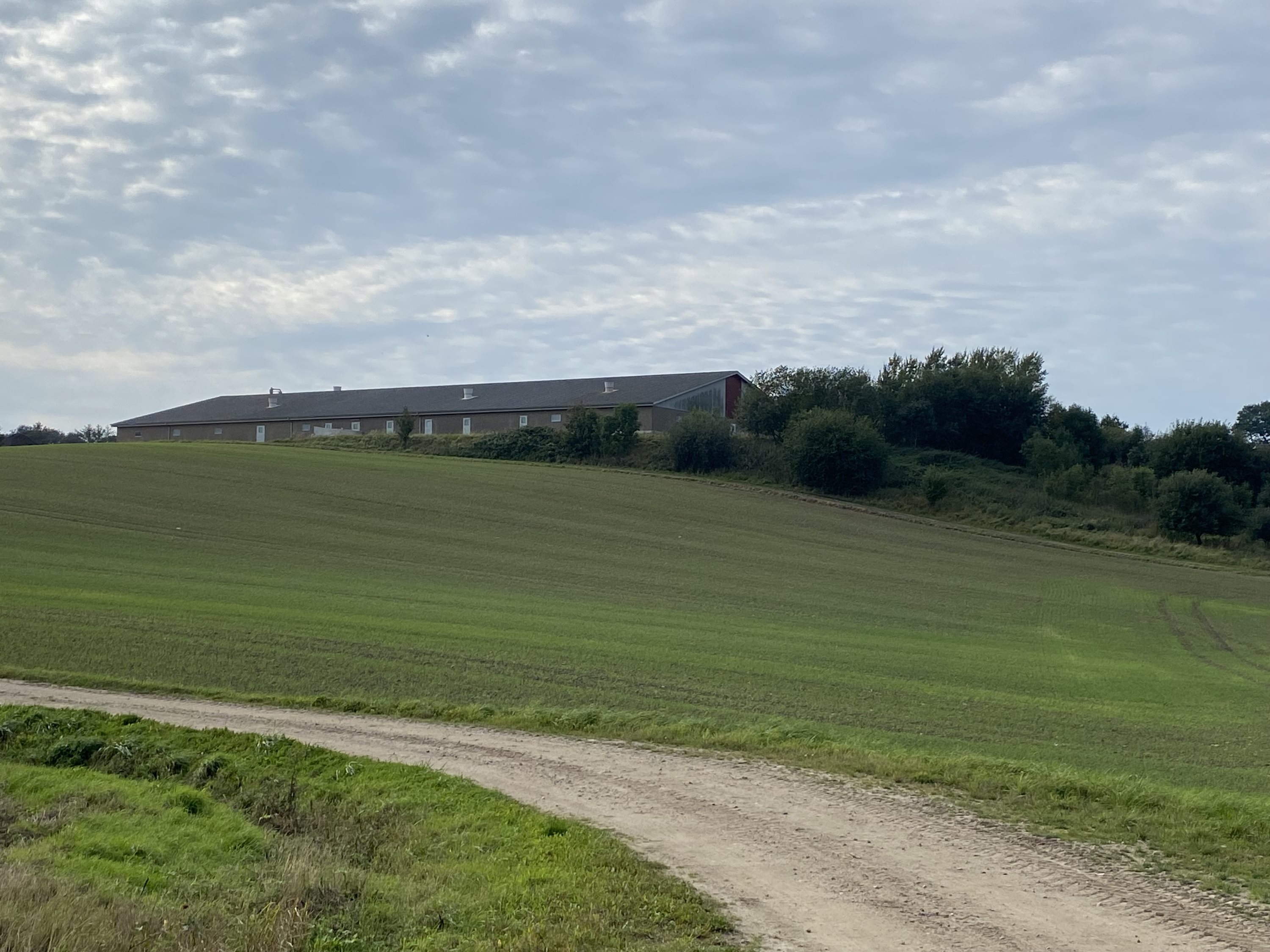 Fremhævet andet billede i fuldskærmstilstand. Billede af Dorthealundsvej 3, Dorthealund, 5683 Haarby