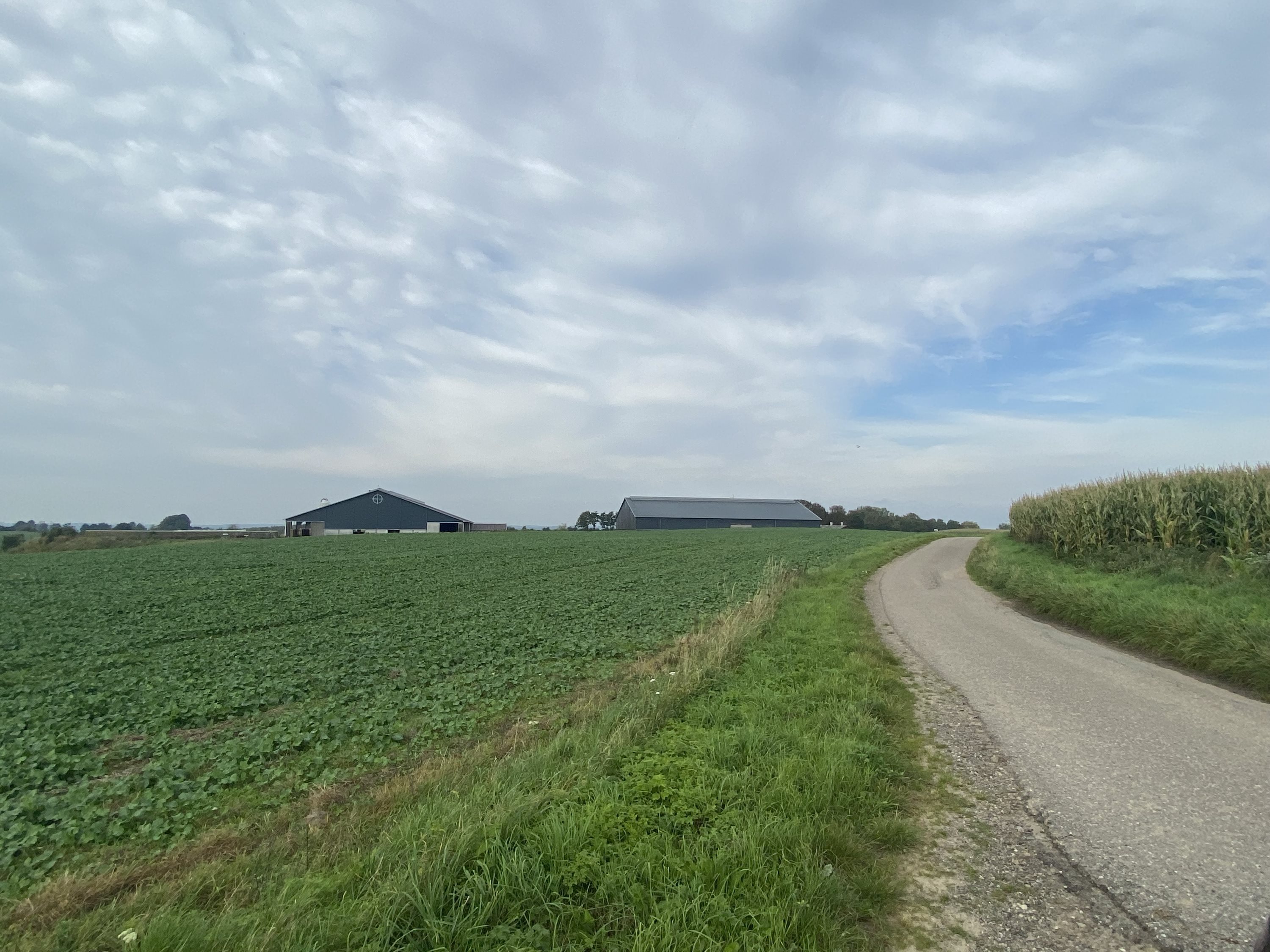 Fremhævet andet billede i fuldskærmstilstand. Billede af Dorthealundsvej 3, Dorthealund, 5683 Haarby