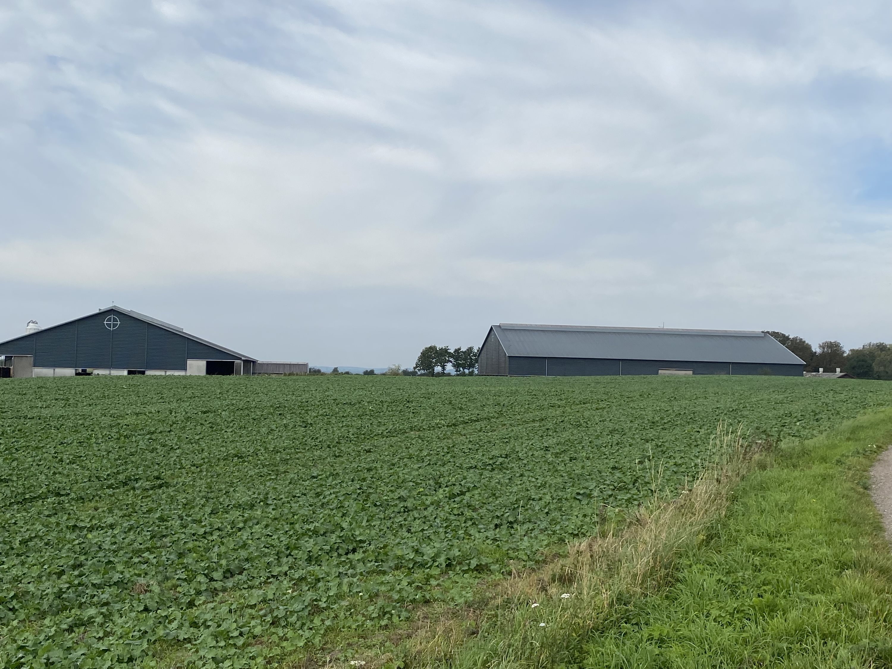 Fremhævet andet billede i fuldskærmstilstand. Billede af Dorthealundsvej 3, Dorthealund, 5683 Haarby