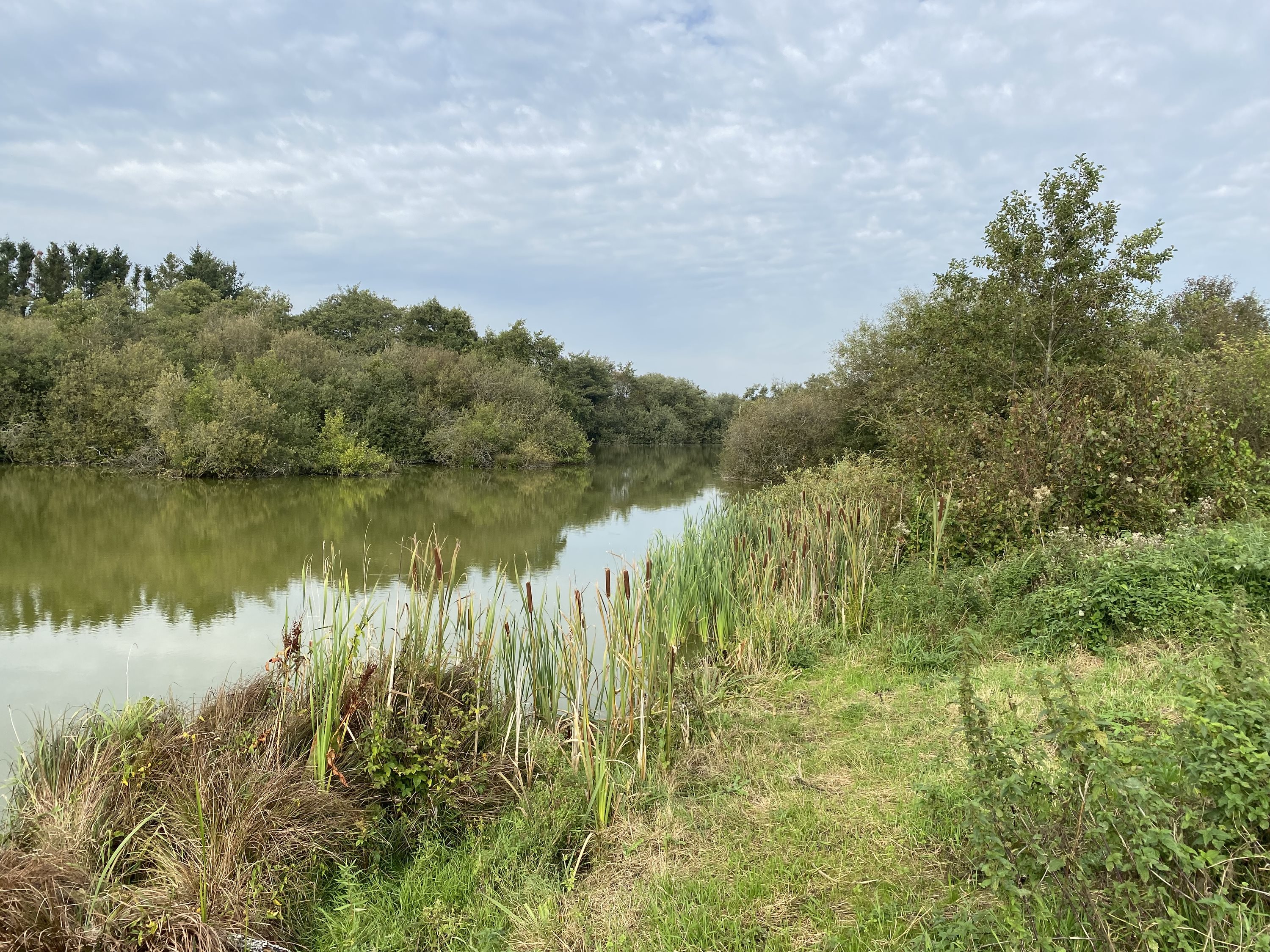 Fremhævet andet billede i fuldskærmstilstand. Billede af Dorthealundsvej 3, Dorthealund, 5683 Haarby