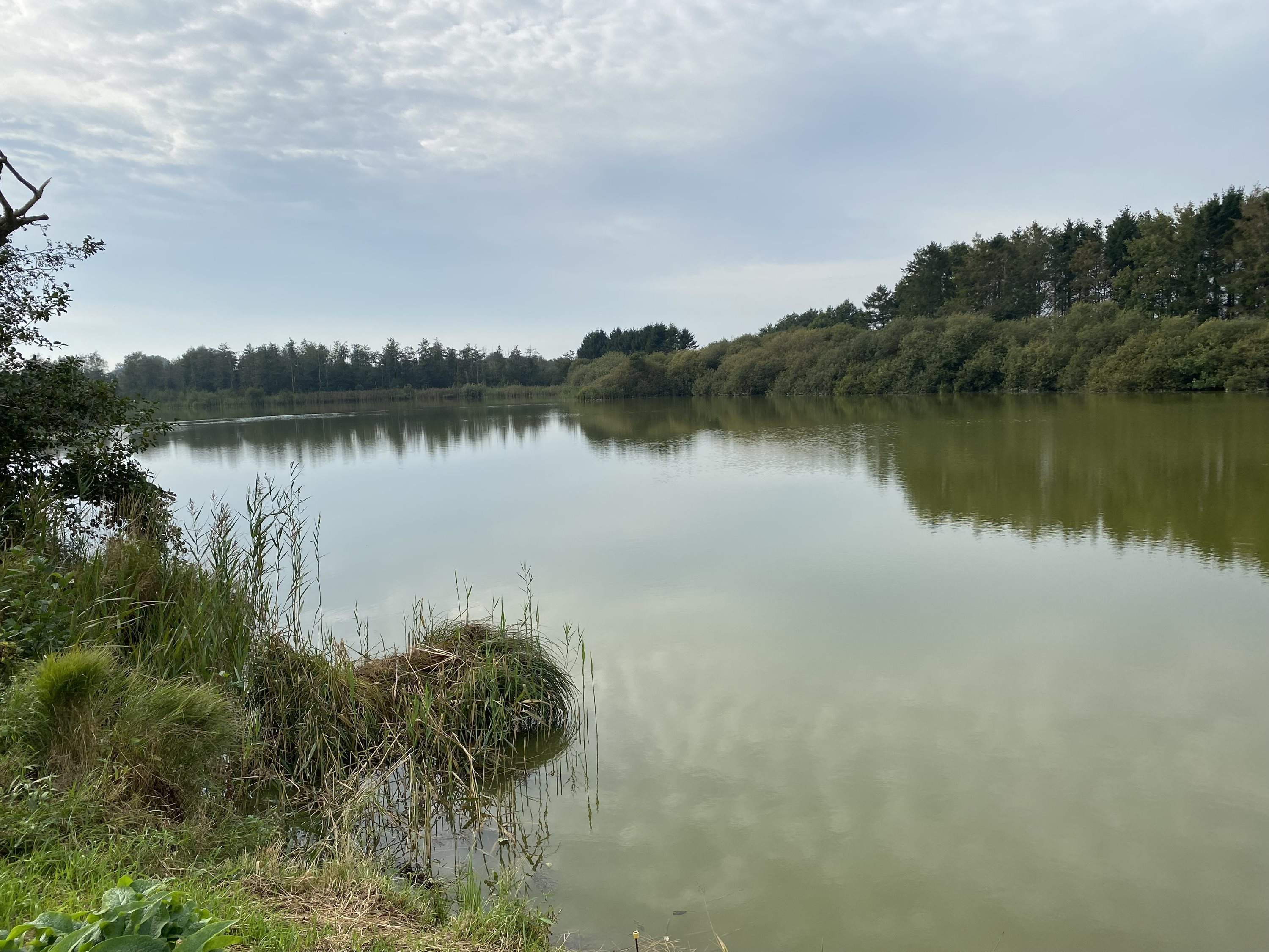 Fremhævet andet billede i fuldskærmstilstand. Billede af Dorthealundsvej 3, Dorthealund, 5683 Haarby