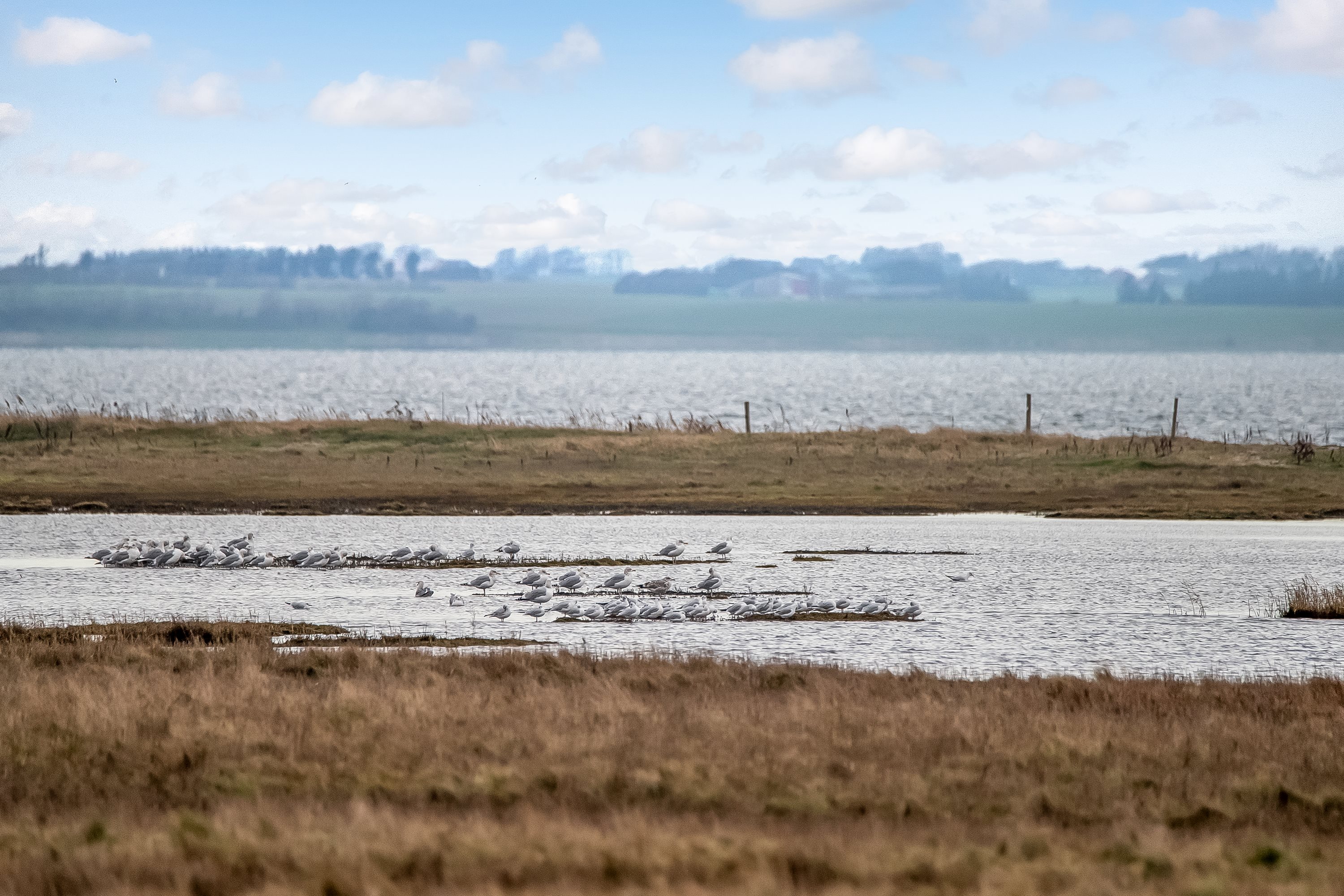 Miniaturebillede 1: andet. Billede af Nørskovvej 2, Jegindø, 7790 Thyholm