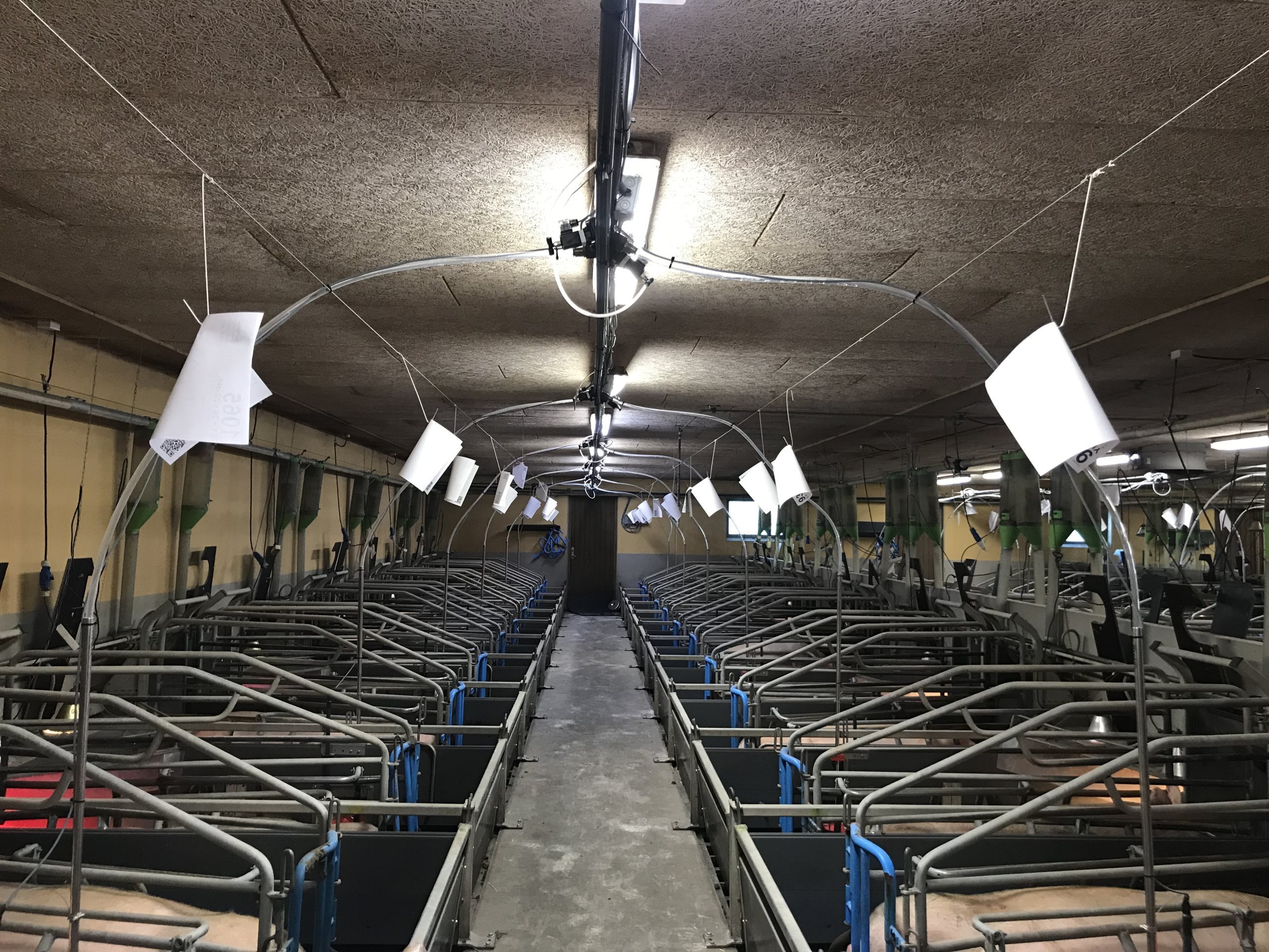 Fremhævet  billede i fuldskærmstilstand. Billede af Badskærvej 60, 9352 Dybvad