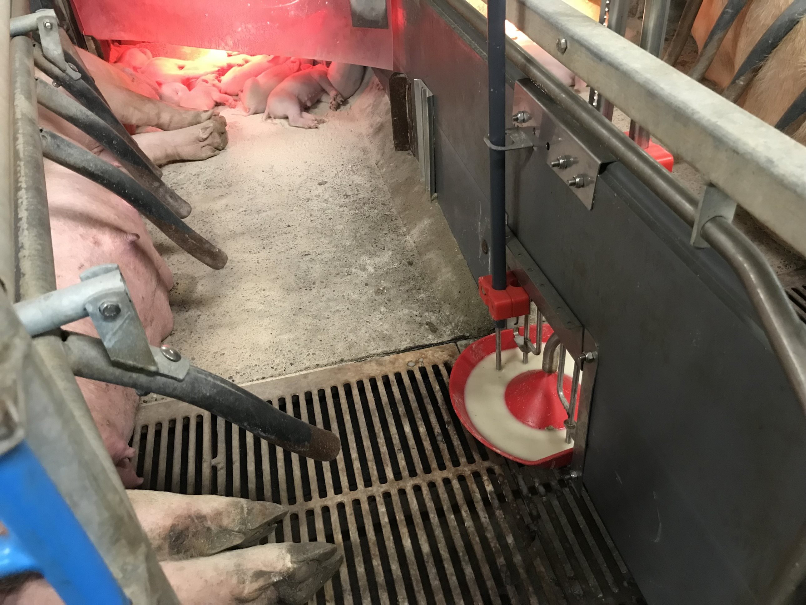 Fremhævet  billede i fuldskærmstilstand. Billede af Badskærvej 60, 9352 Dybvad