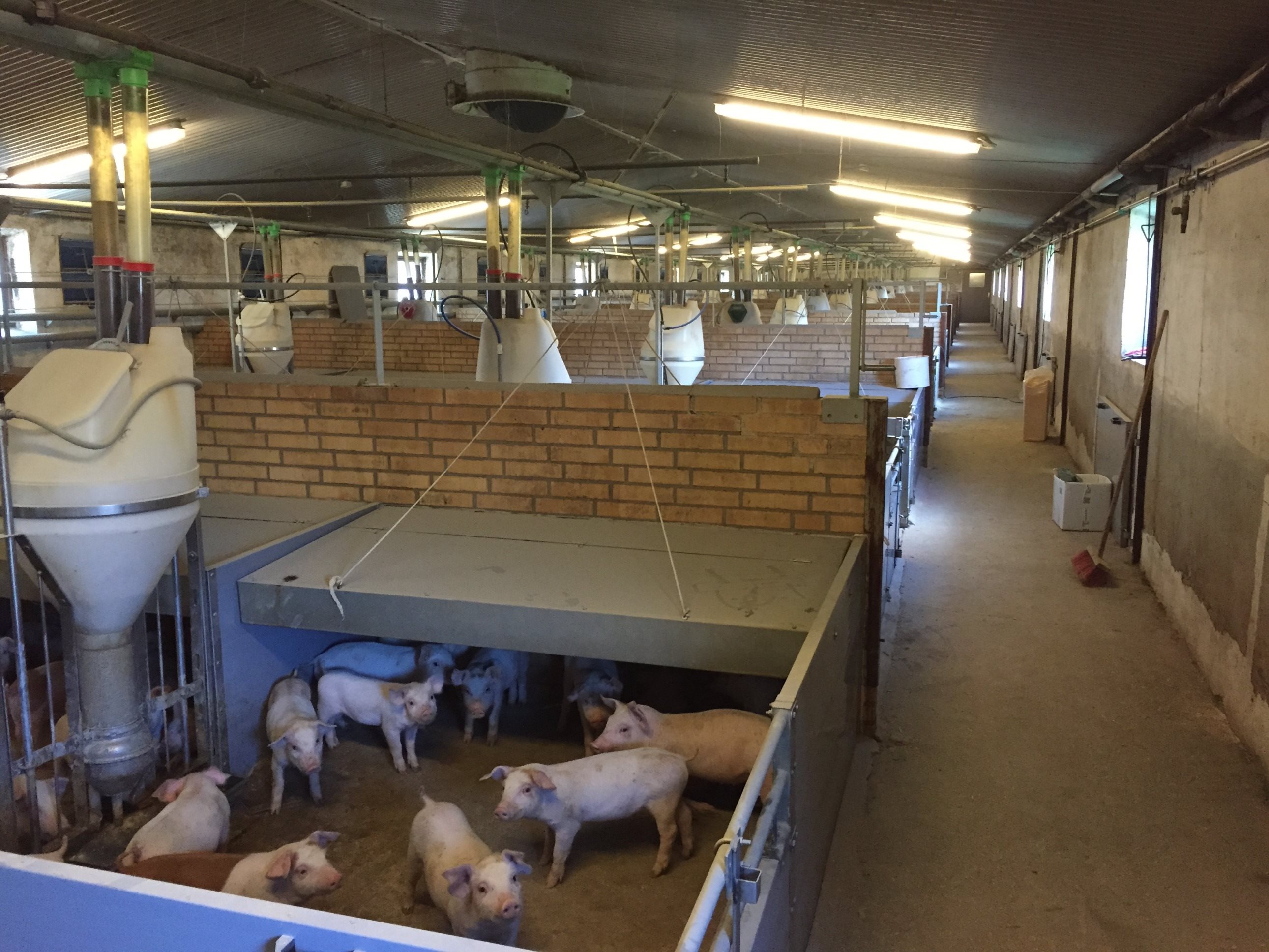 Fremhævet  billede i fuldskærmstilstand. Billede af Badskærvej 60, 9352 Dybvad