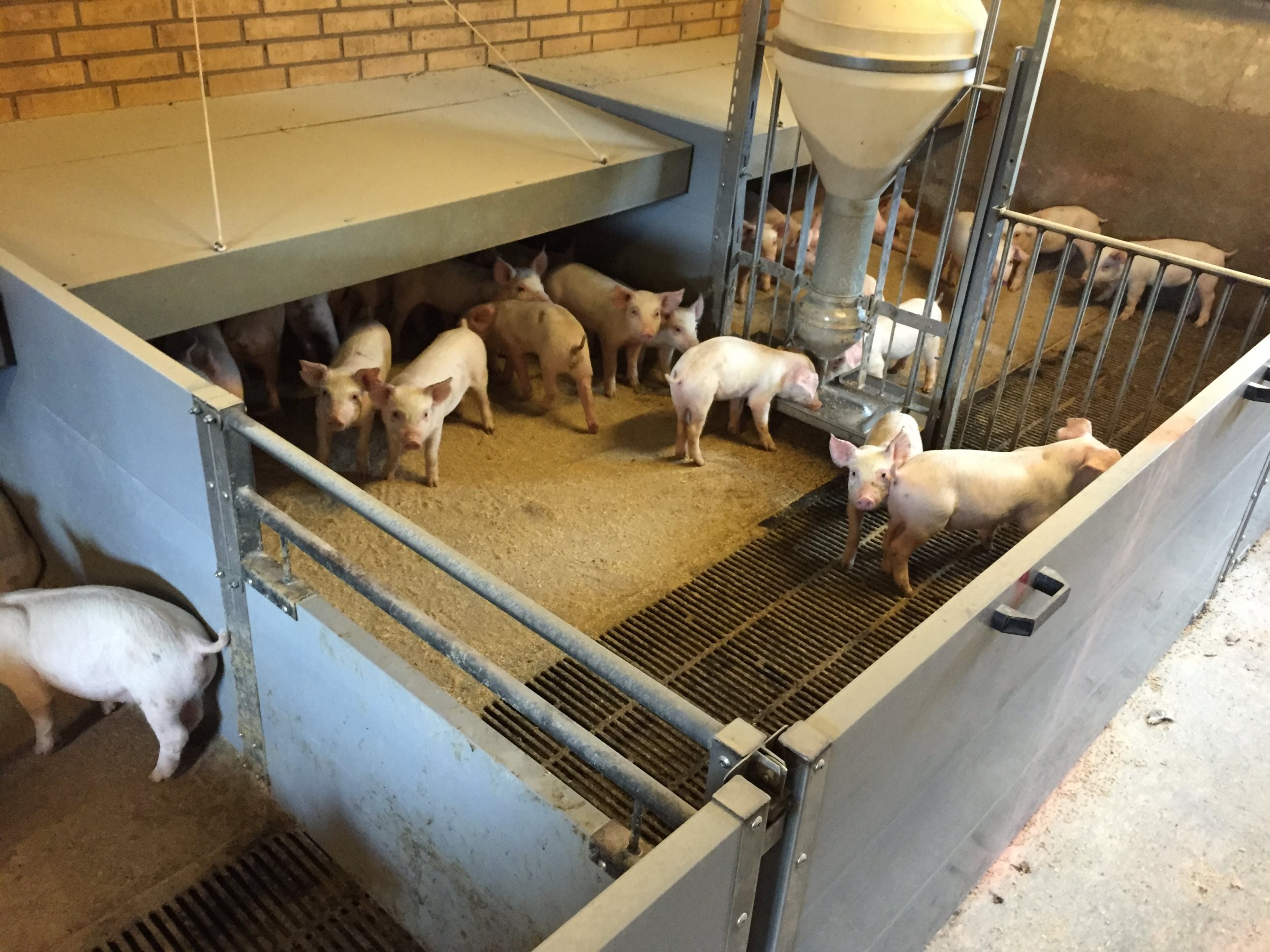 Fremhævet  billede i fuldskærmstilstand. Billede af Badskærvej 60, 9352 Dybvad