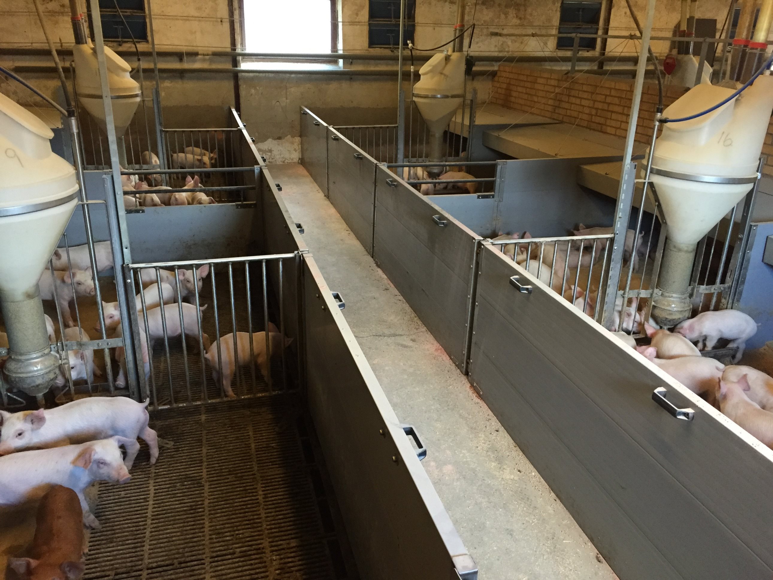 Fremhævet  billede i fuldskærmstilstand. Billede af Badskærvej 60, 9352 Dybvad