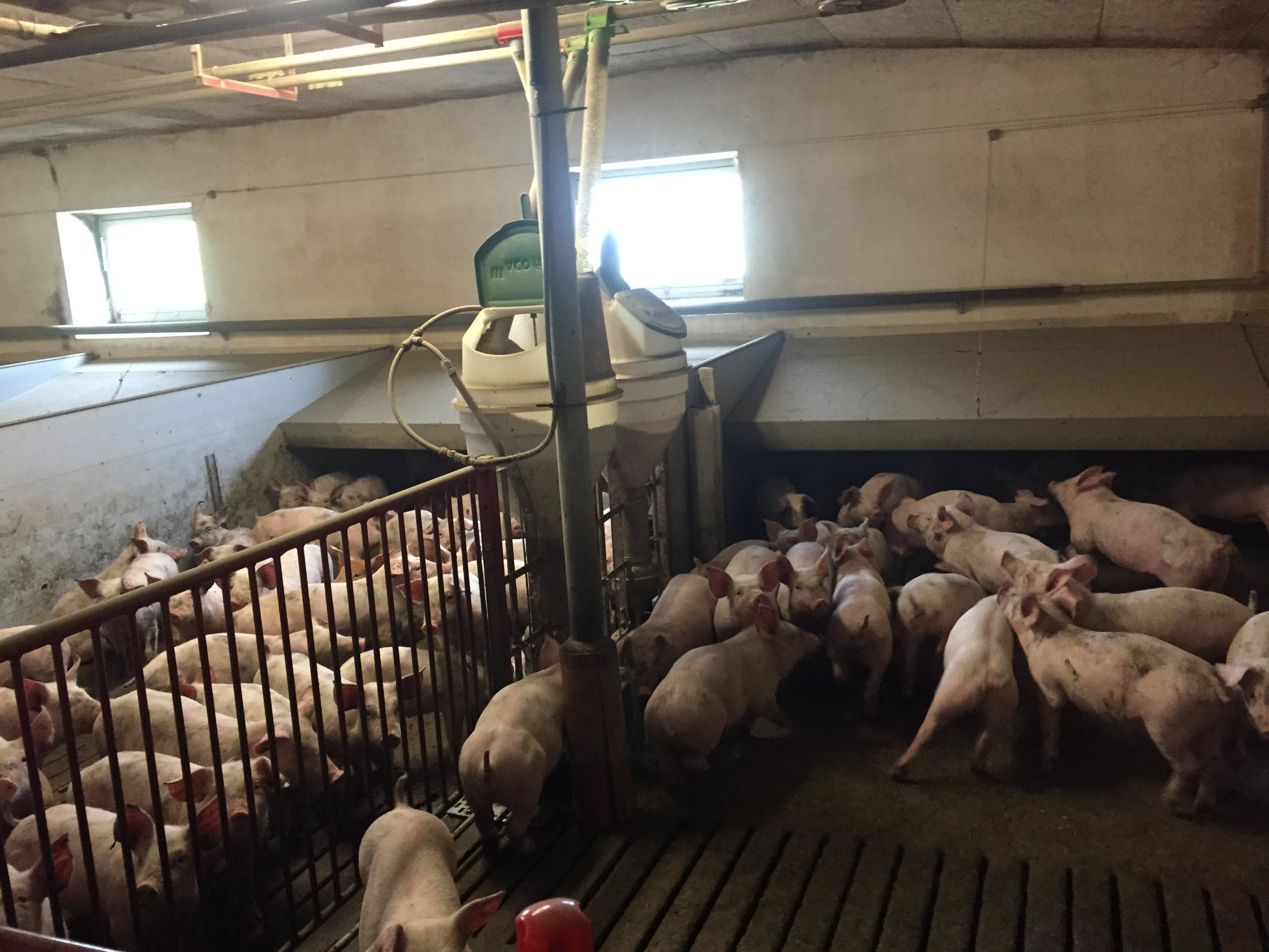 Fremhævet  billede i fuldskærmstilstand. Billede af Badskærvej 60, 9352 Dybvad