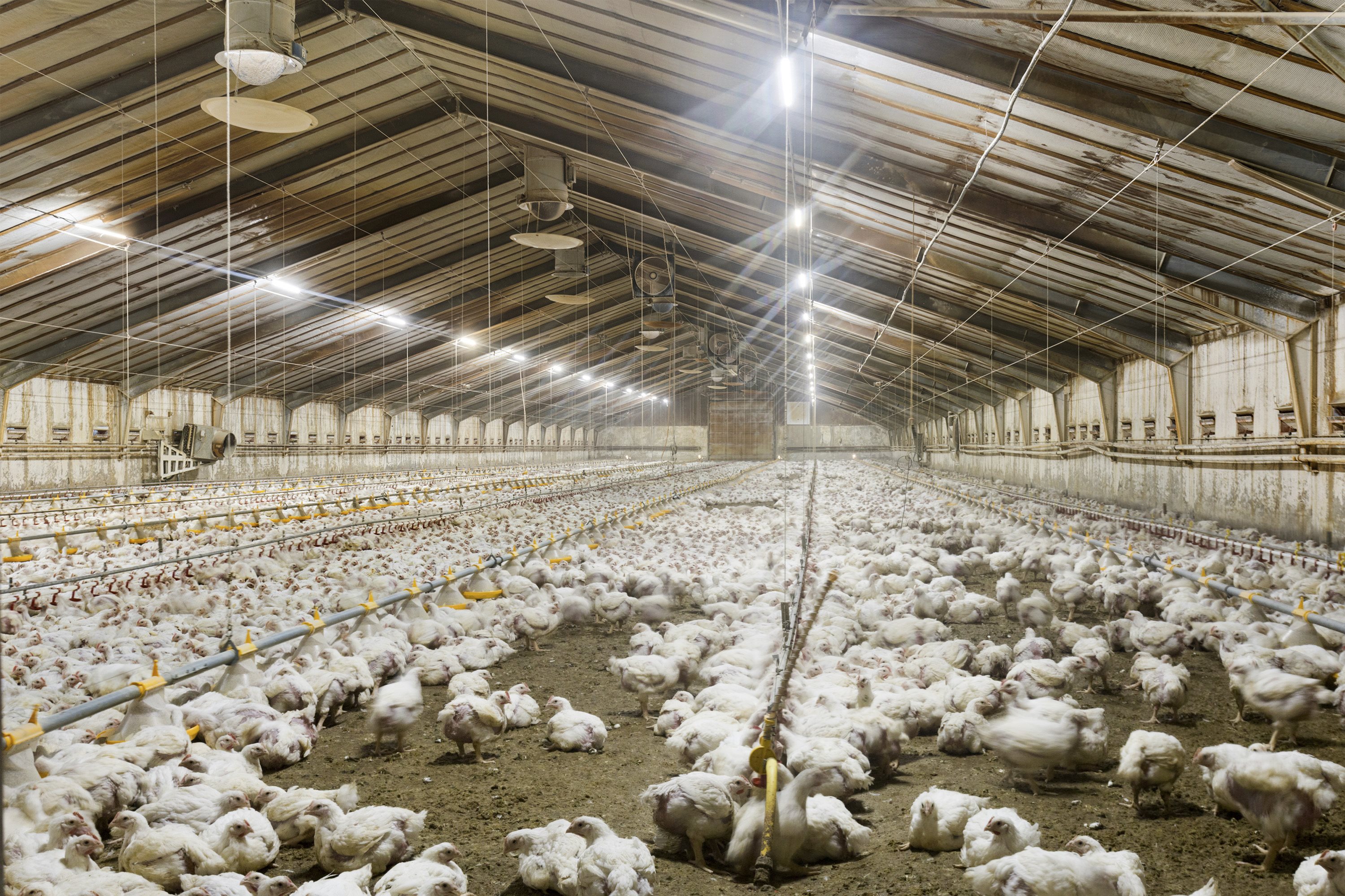 Fremhævet område billede i fuldskærmstilstand. Billede af Vestermarken 14, 9370 Hals