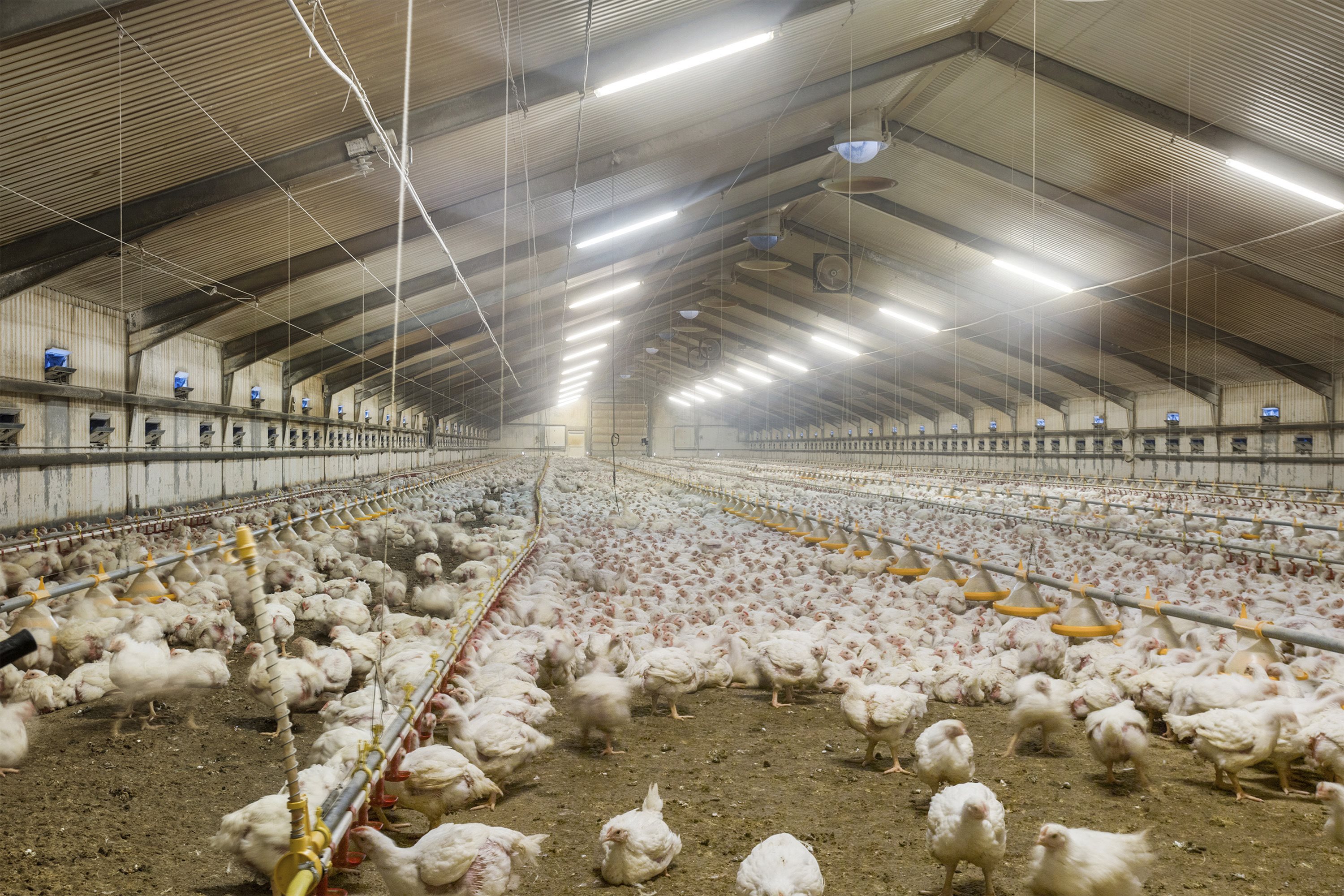 Fremhævet område billede i fuldskærmstilstand. Billede af Vestermarken 14, 9370 Hals