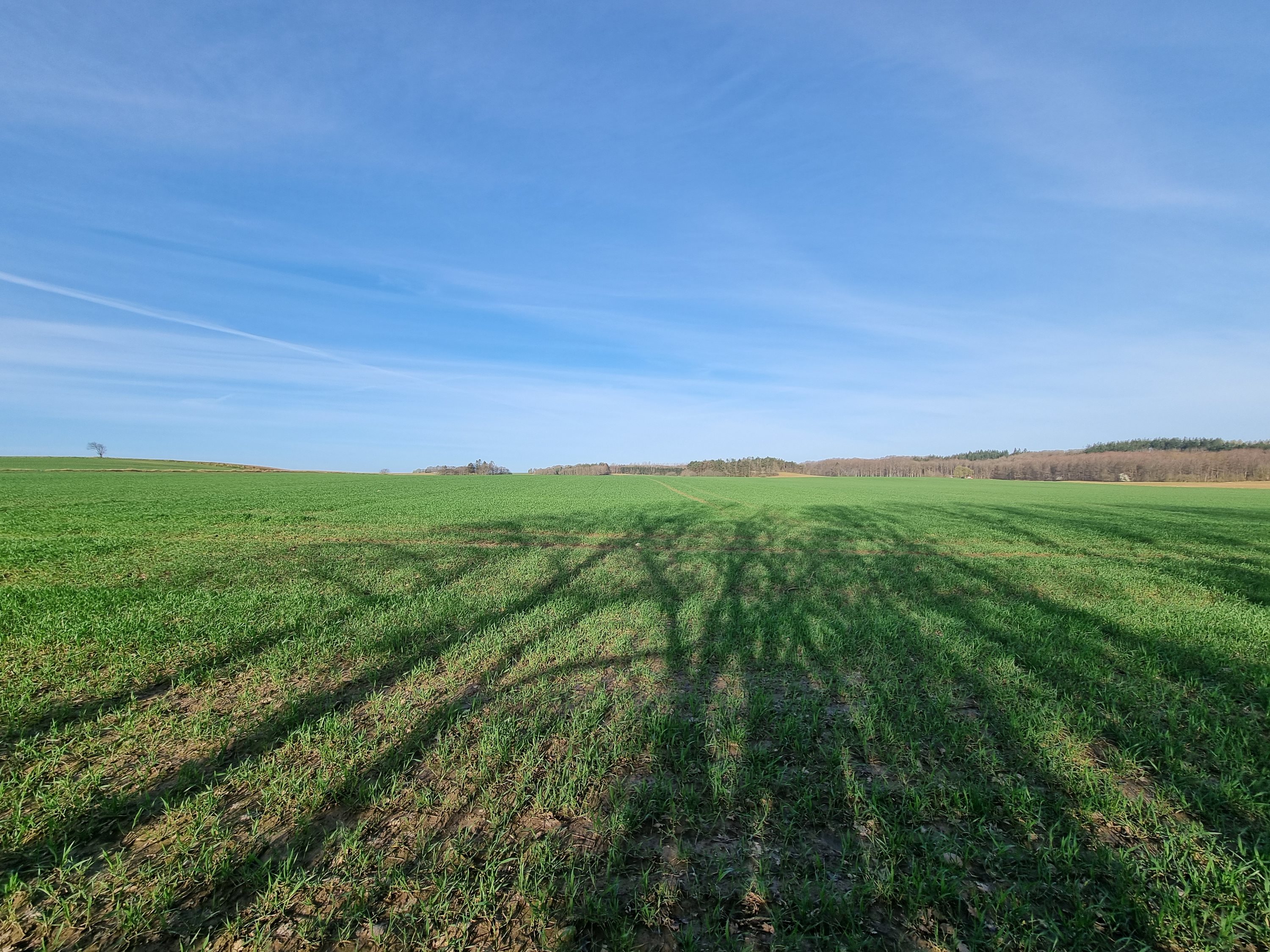 Fremhævet  billede i fuldskærmstilstand. Billede af Bavnevej 166, Mellerup, 8930 Randers NØ