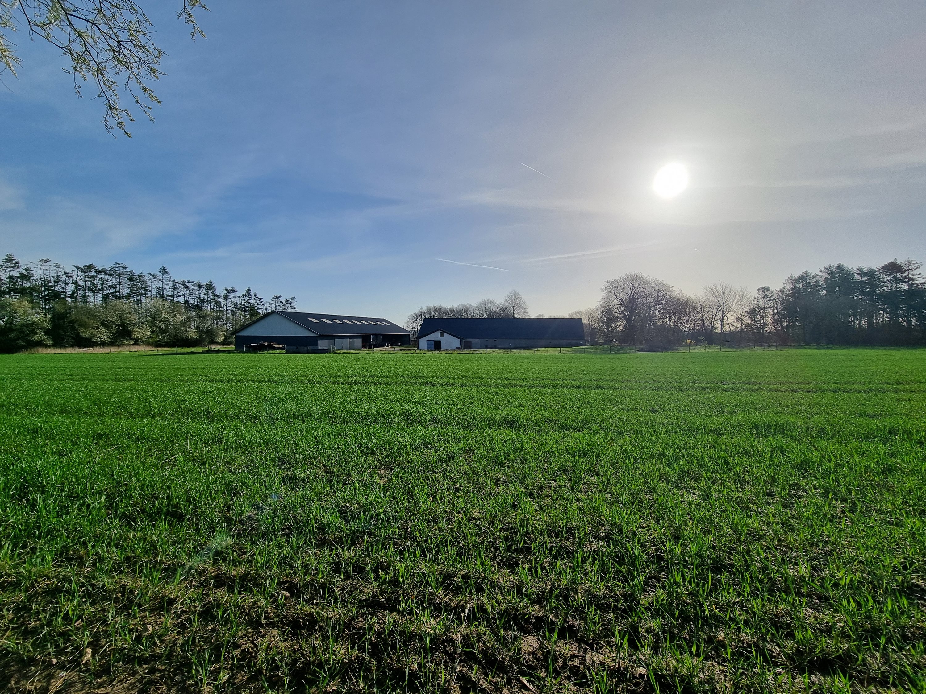 Fremhævet  billede i fuldskærmstilstand. Billede af Bavnevej 166, Mellerup, 8930 Randers NØ