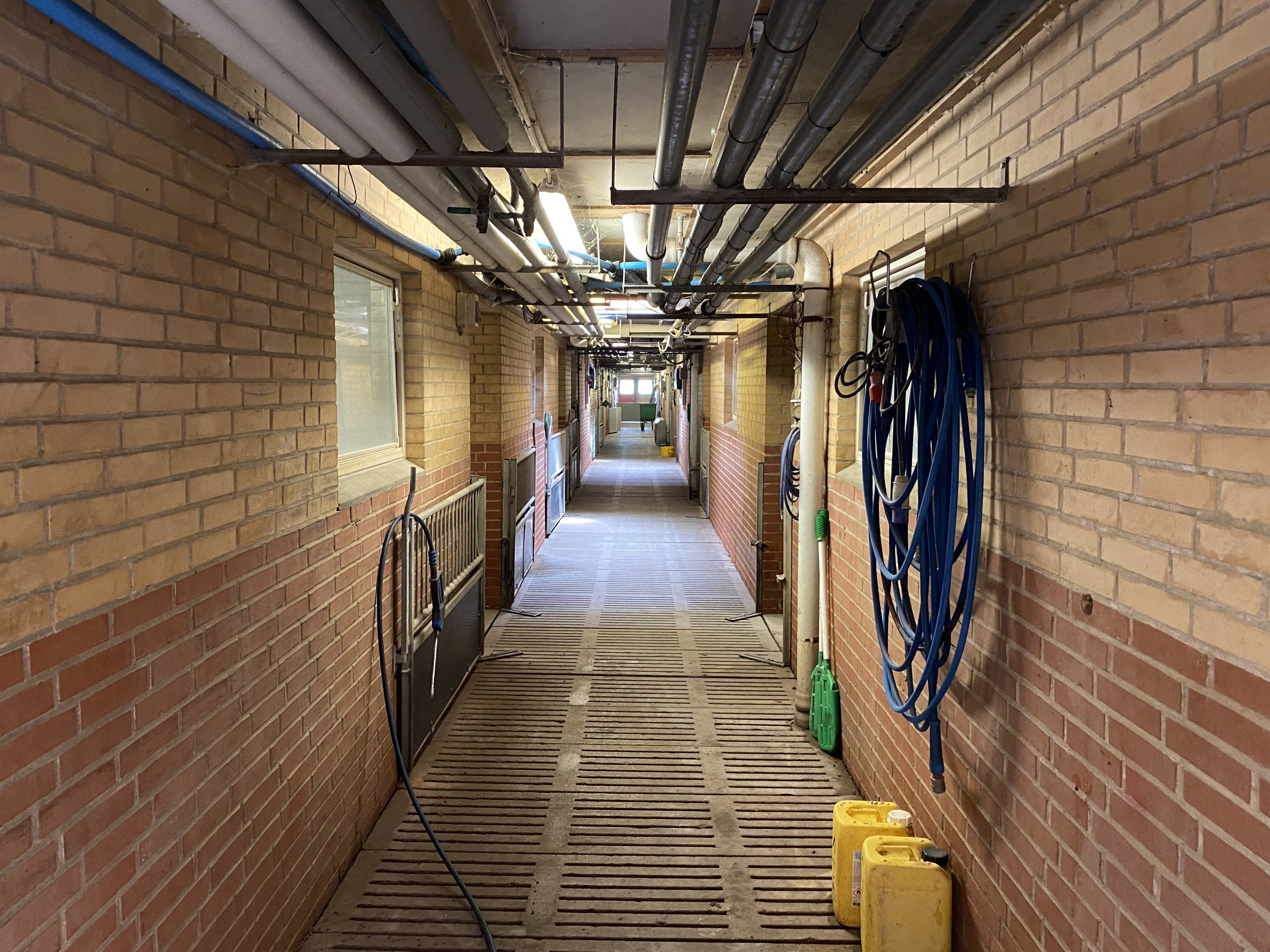 Fremhævet  billede i fuldskærmstilstand. Billede af Dorthealundsvej 3, Dorthealund, 5683 Haarby