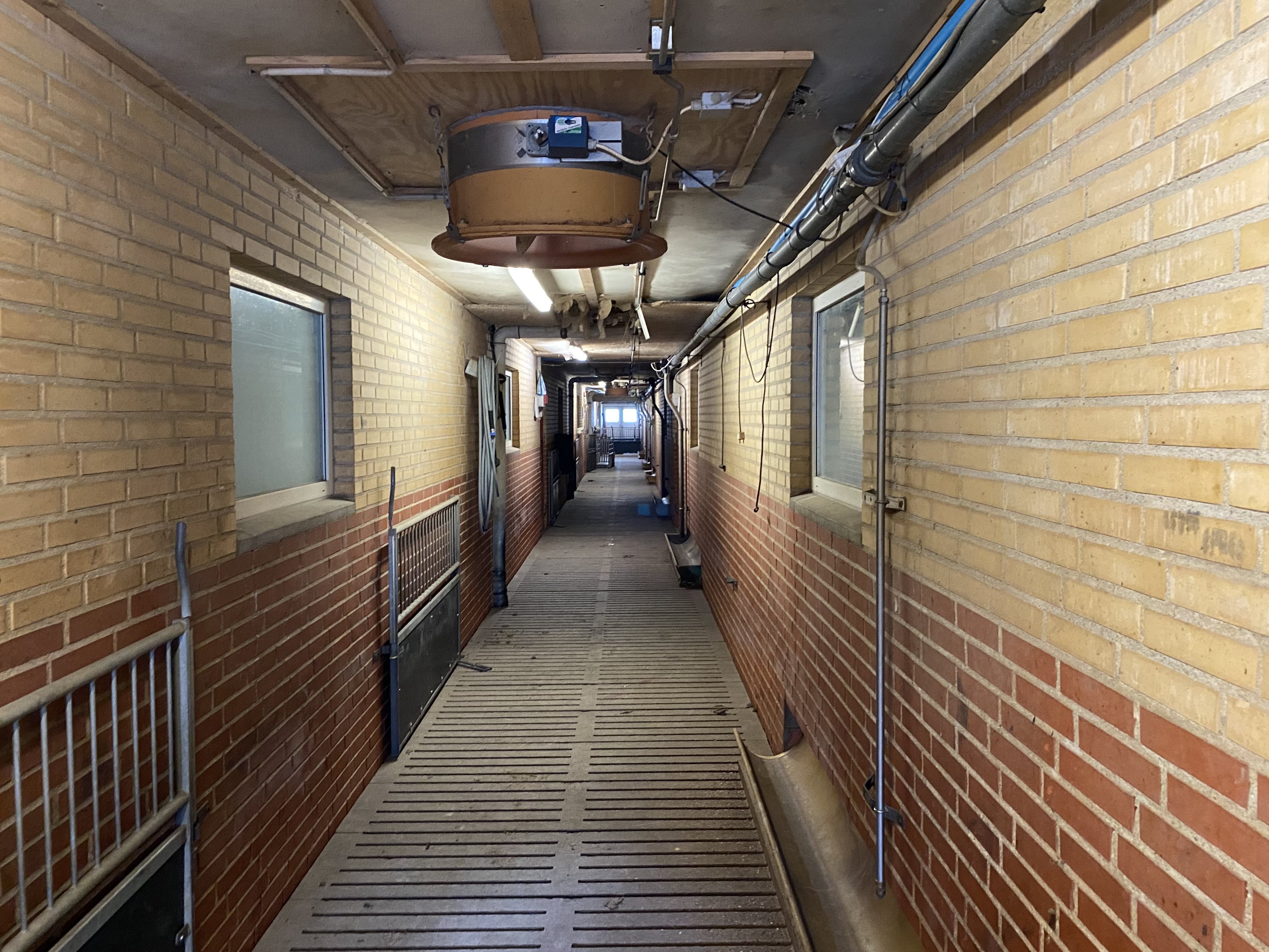 Fremhævet  billede i fuldskærmstilstand. Billede af Dorthealundsvej 3, Dorthealund, 5683 Haarby