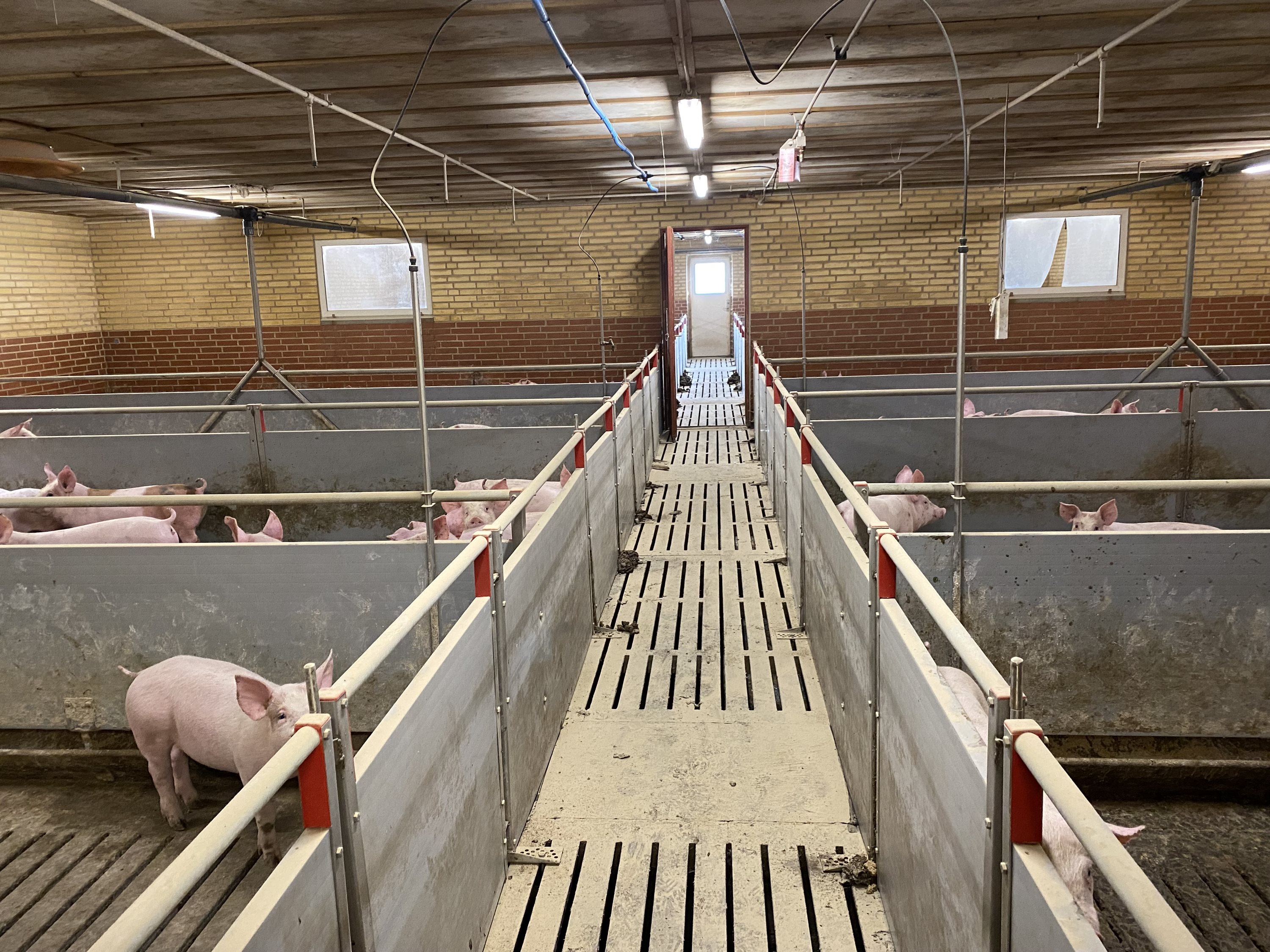 Fremhævet  billede i fuldskærmstilstand. Billede af Dorthealundsvej 3, Dorthealund, 5683 Haarby