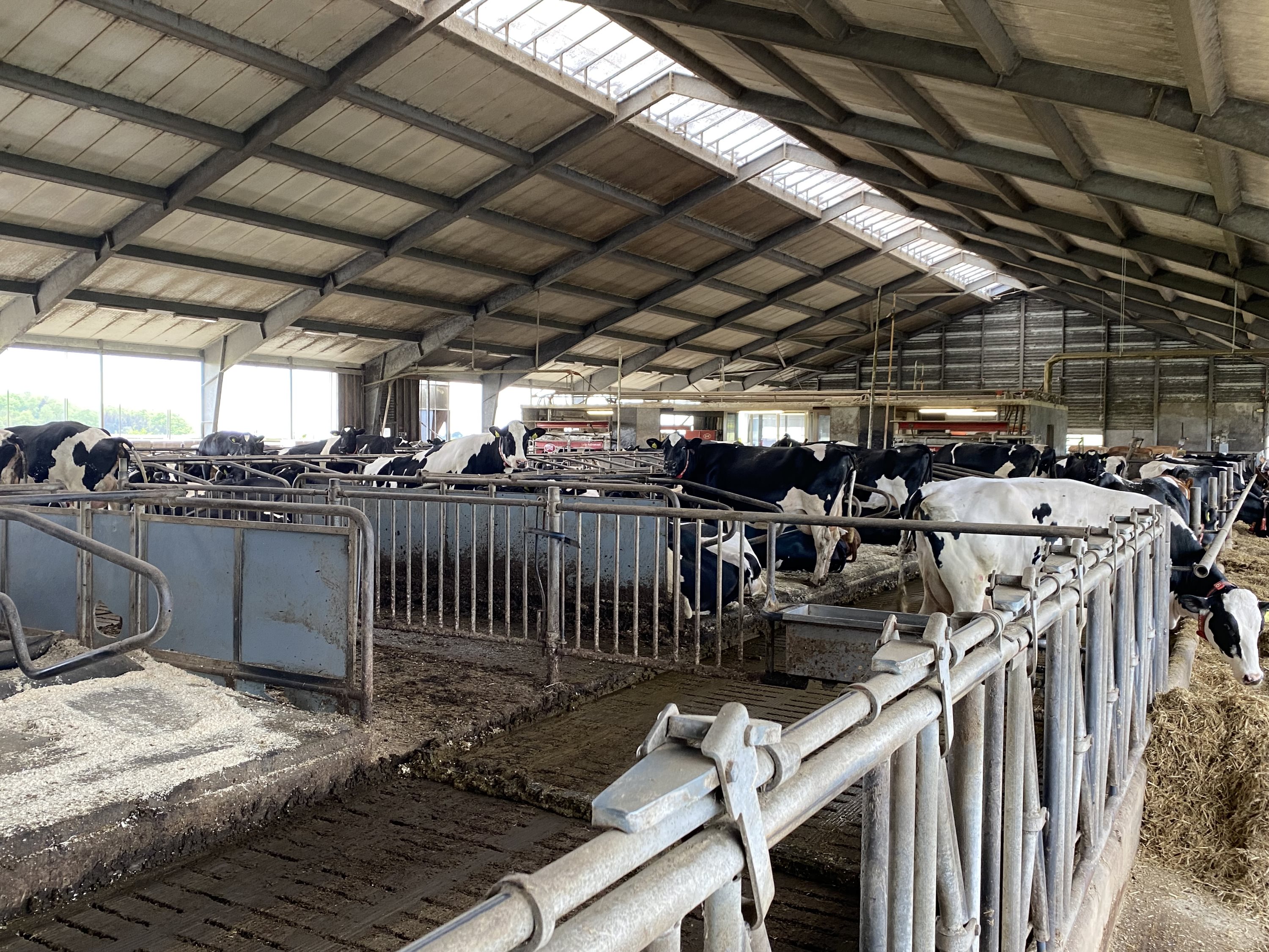 Fremhævet  billede i fuldskærmstilstand. Billede af Dorthealundsvej 3, Dorthealund, 5683 Haarby