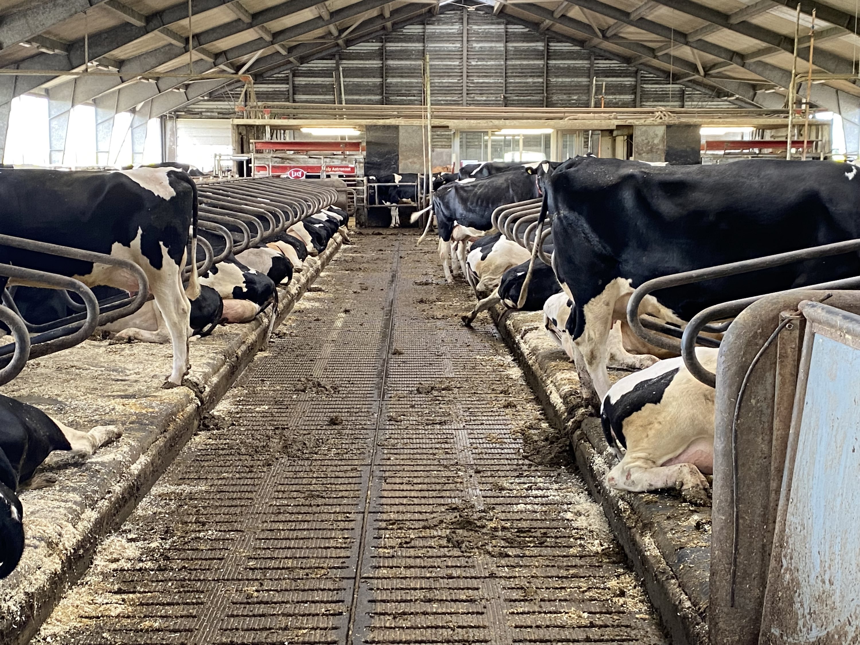 Fremhævet  billede i fuldskærmstilstand. Billede af Dorthealundsvej 3, Dorthealund, 5683 Haarby