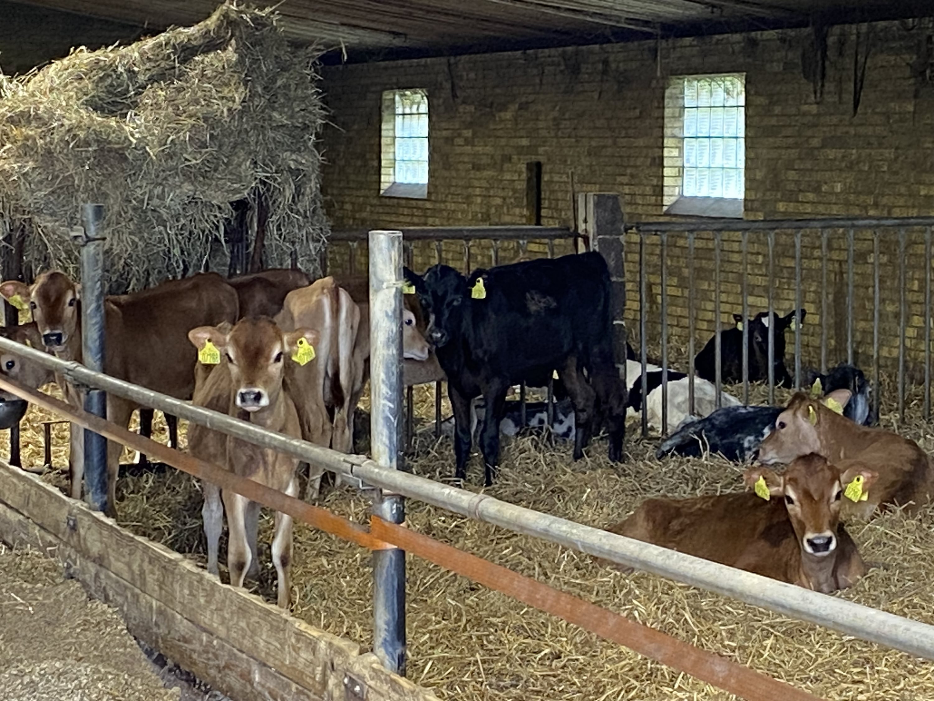 Fremhævet  billede i fuldskærmstilstand. Billede af Dorthealundsvej 3, Dorthealund, 5683 Haarby