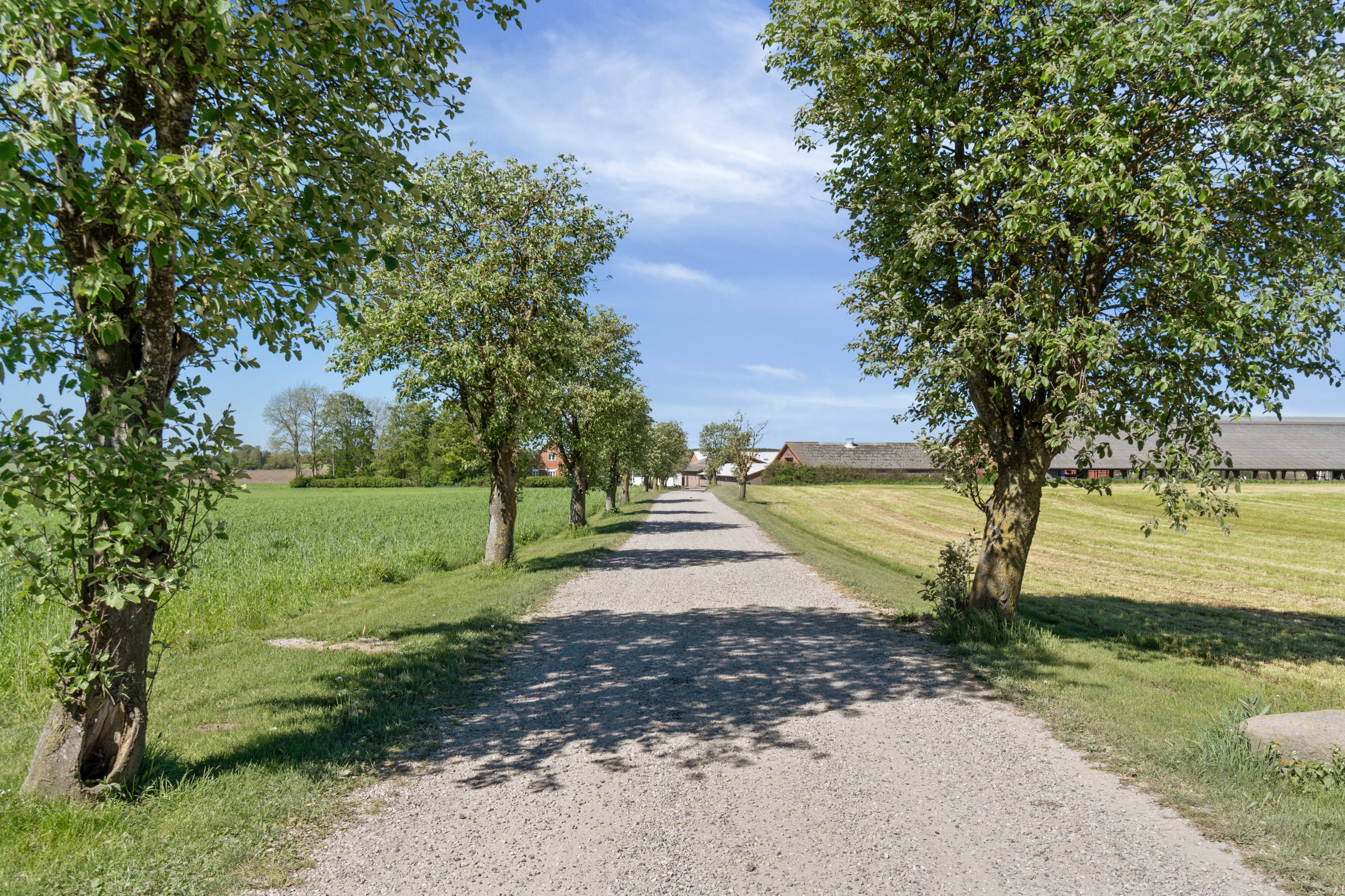 Miniaturebillede 1: . Billede af Krogen 15, 4190 Munke Bjergby