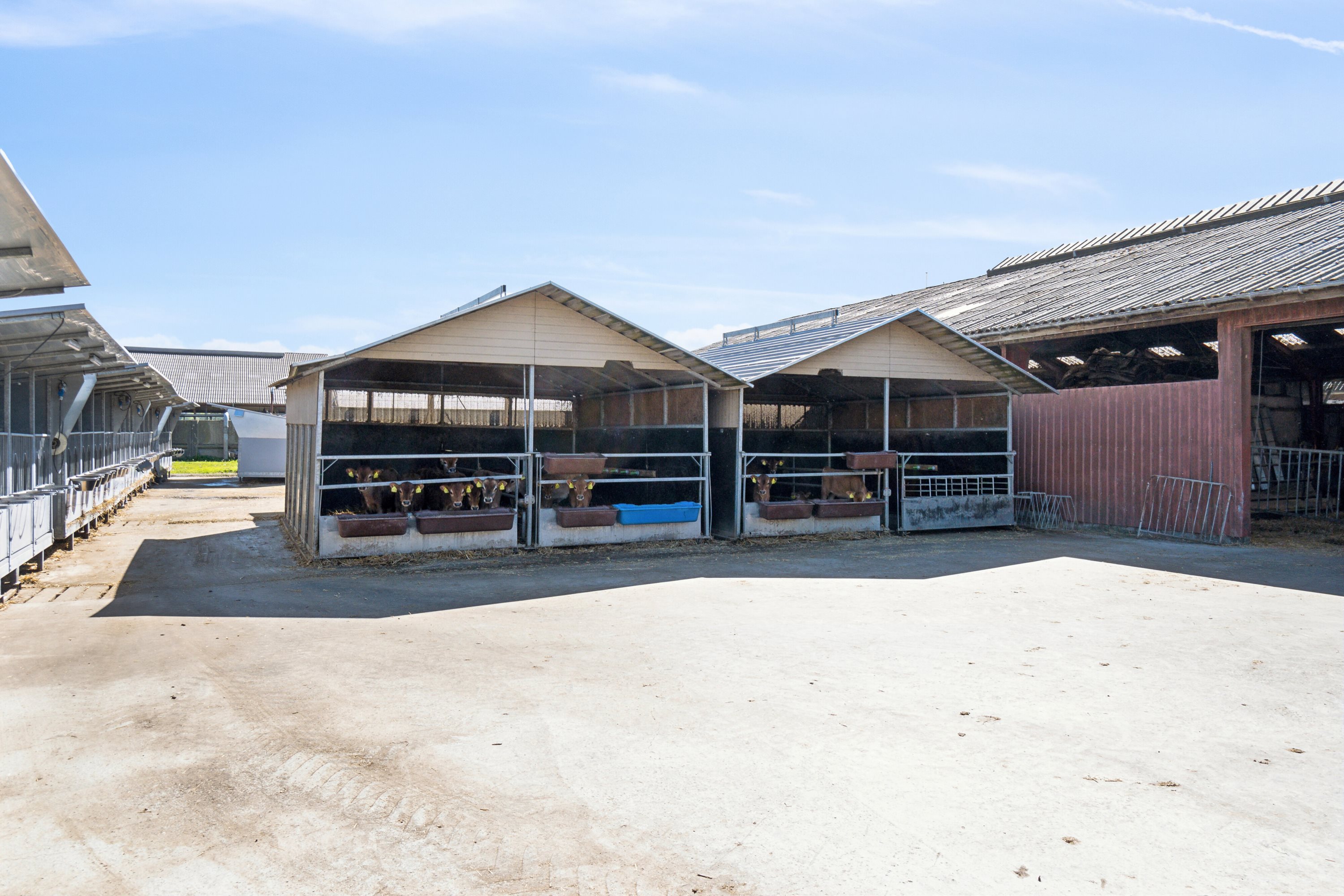 Fremhævet  billede i fuldskærmstilstand. Billede af Krogen 15, 4190 Munke Bjergby