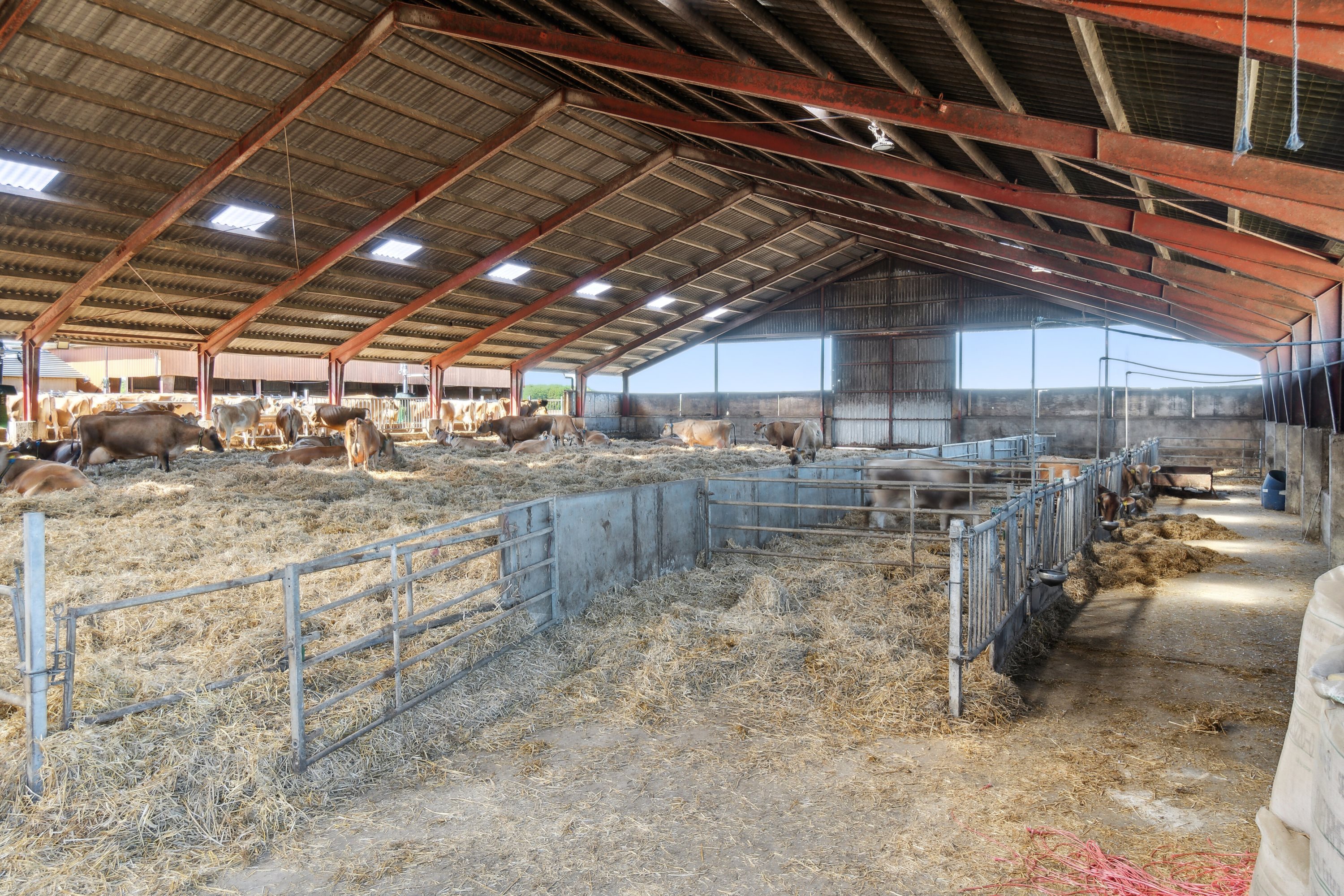 Fremhævet  billede i fuldskærmstilstand. Billede af Krogen 15, 4190 Munke Bjergby