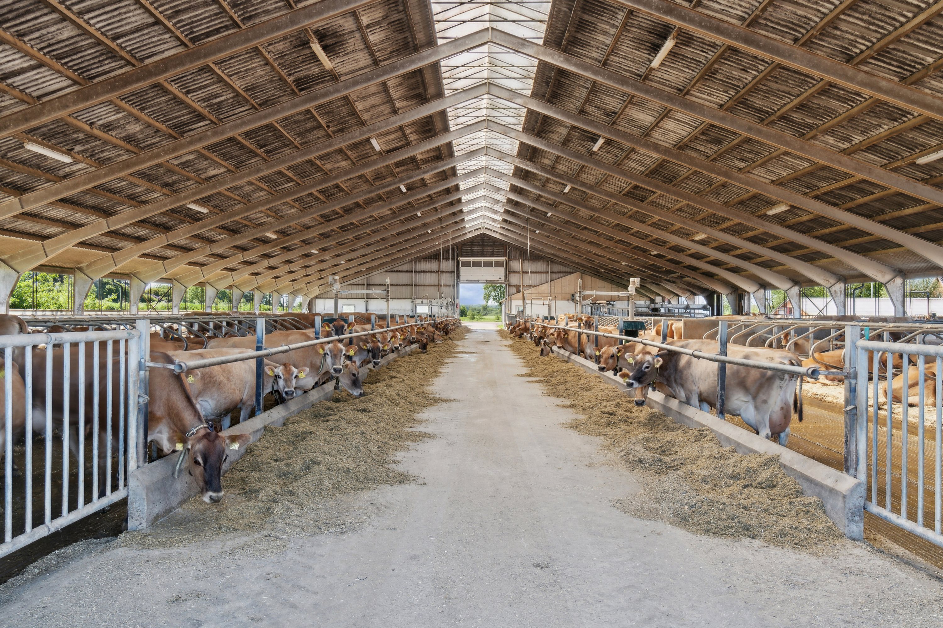 Fremhævet  billede i fuldskærmstilstand. Billede af Krogen 15, 4190 Munke Bjergby