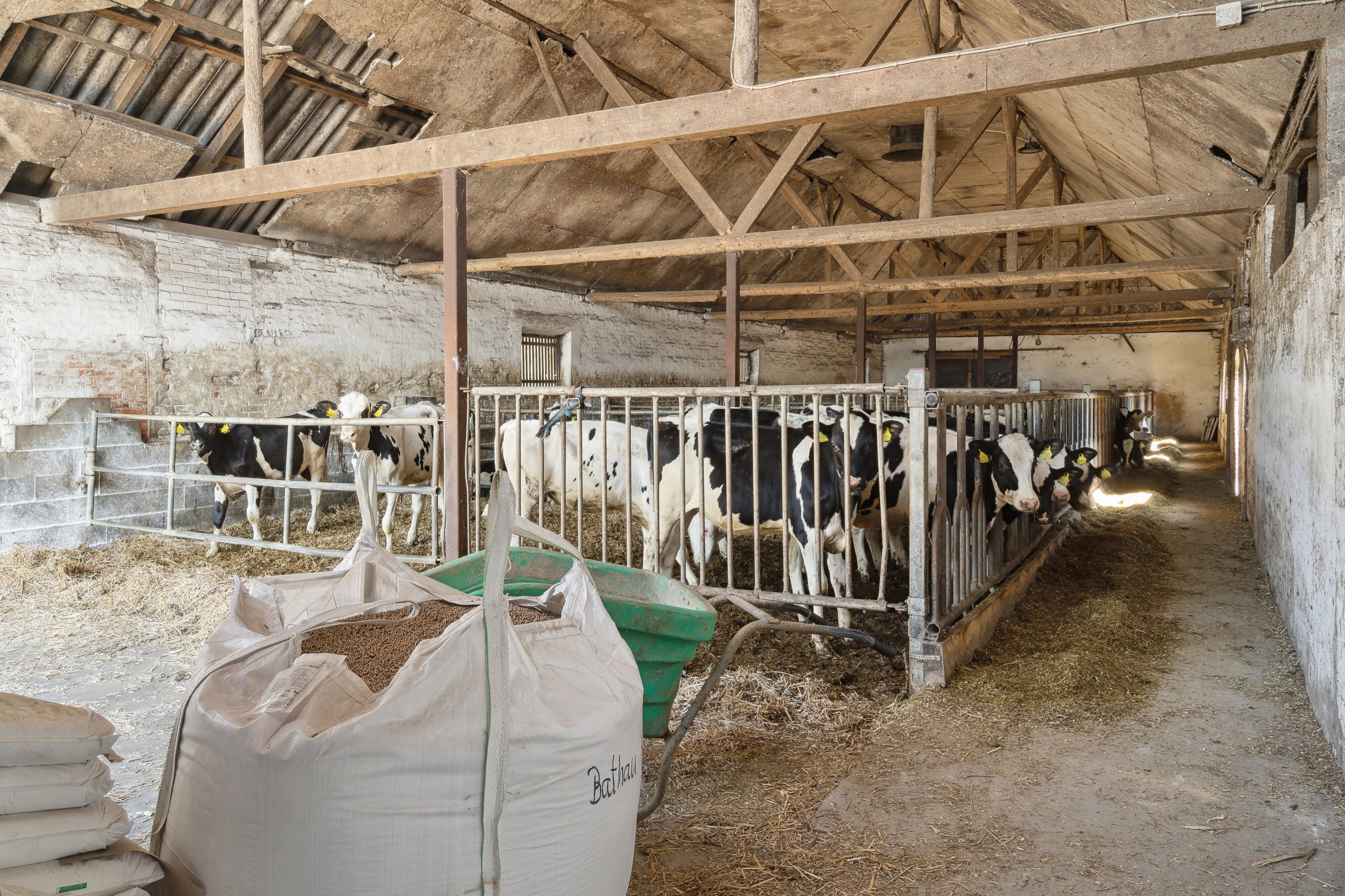 Fremhævet stald billede i fuldskærmstilstand. Billede af Batum Hedevej 8, Batum, 8830 Tjele