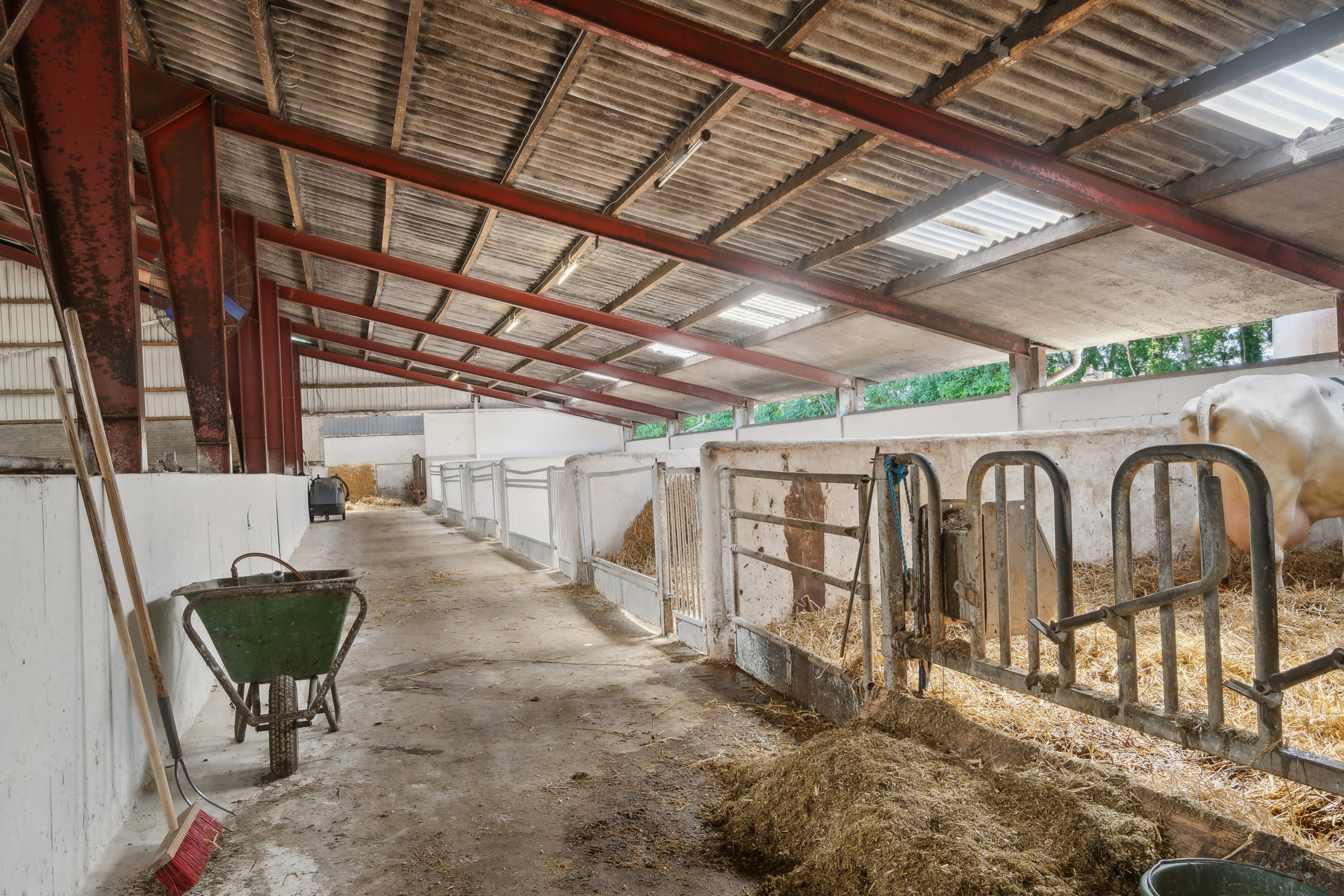 Fremhævet stald billede i fuldskærmstilstand. Billede af Batum Hedevej 8, Batum, 8830 Tjele