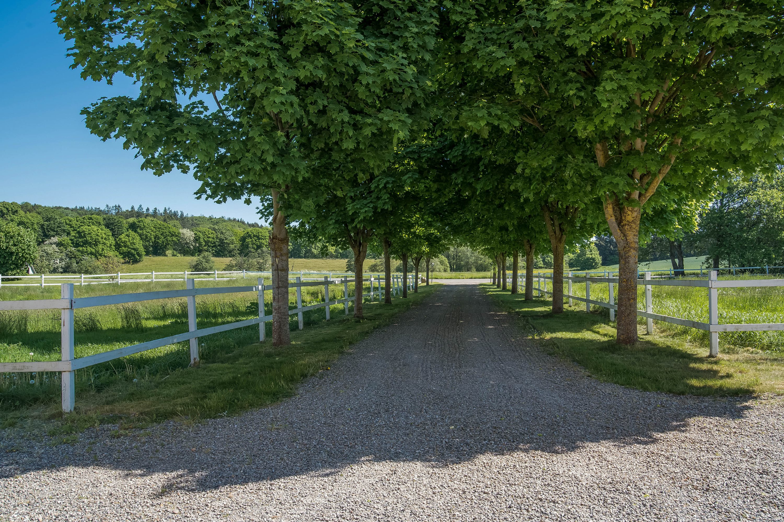Fremhævet  billede i fuldskærmstilstand. Billede af Hingevej 3, 8632 Lemming