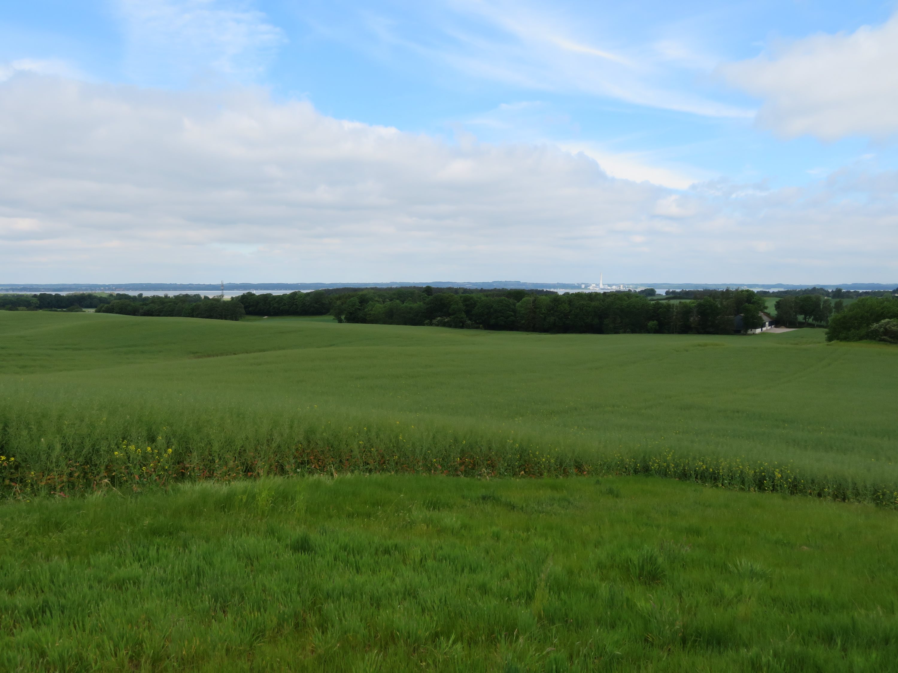 Fremhævet  billede i fuldskærmstilstand. Billede af Quelstrupvej 1, 8420 Knebel