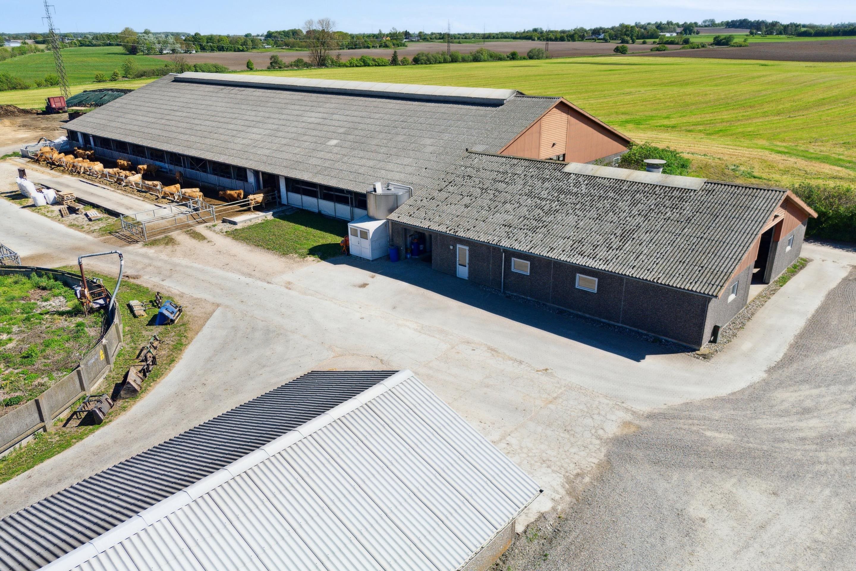 Fremhævet  billede i fuldskærmstilstand. Billede af Krogen 15, 4190 Munke Bjergby