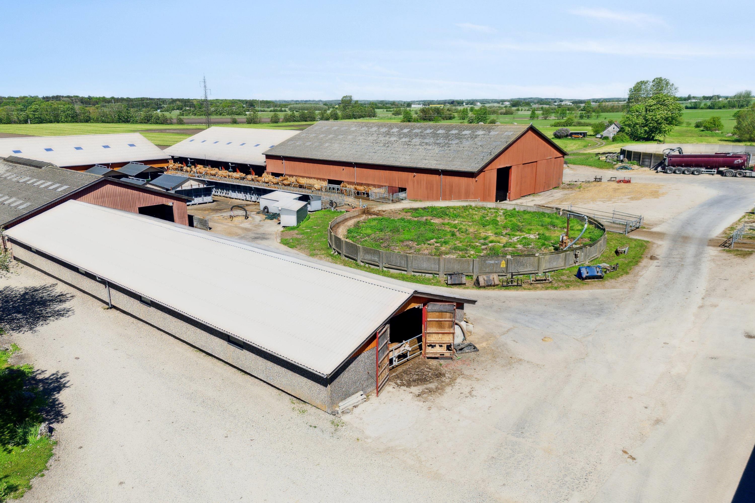 Fremhævet  billede i fuldskærmstilstand. Billede af Krogen 15, 4190 Munke Bjergby